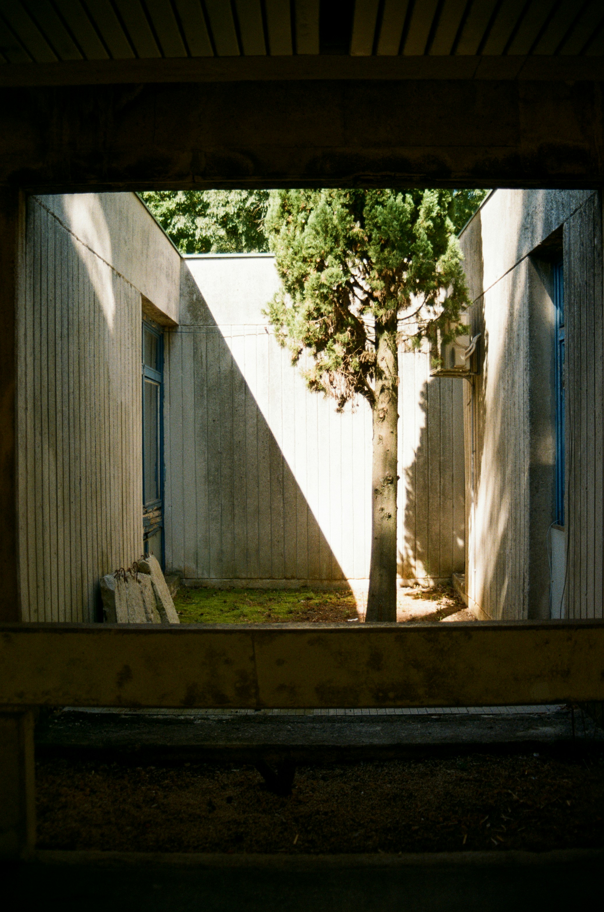 Photo by babikacharava