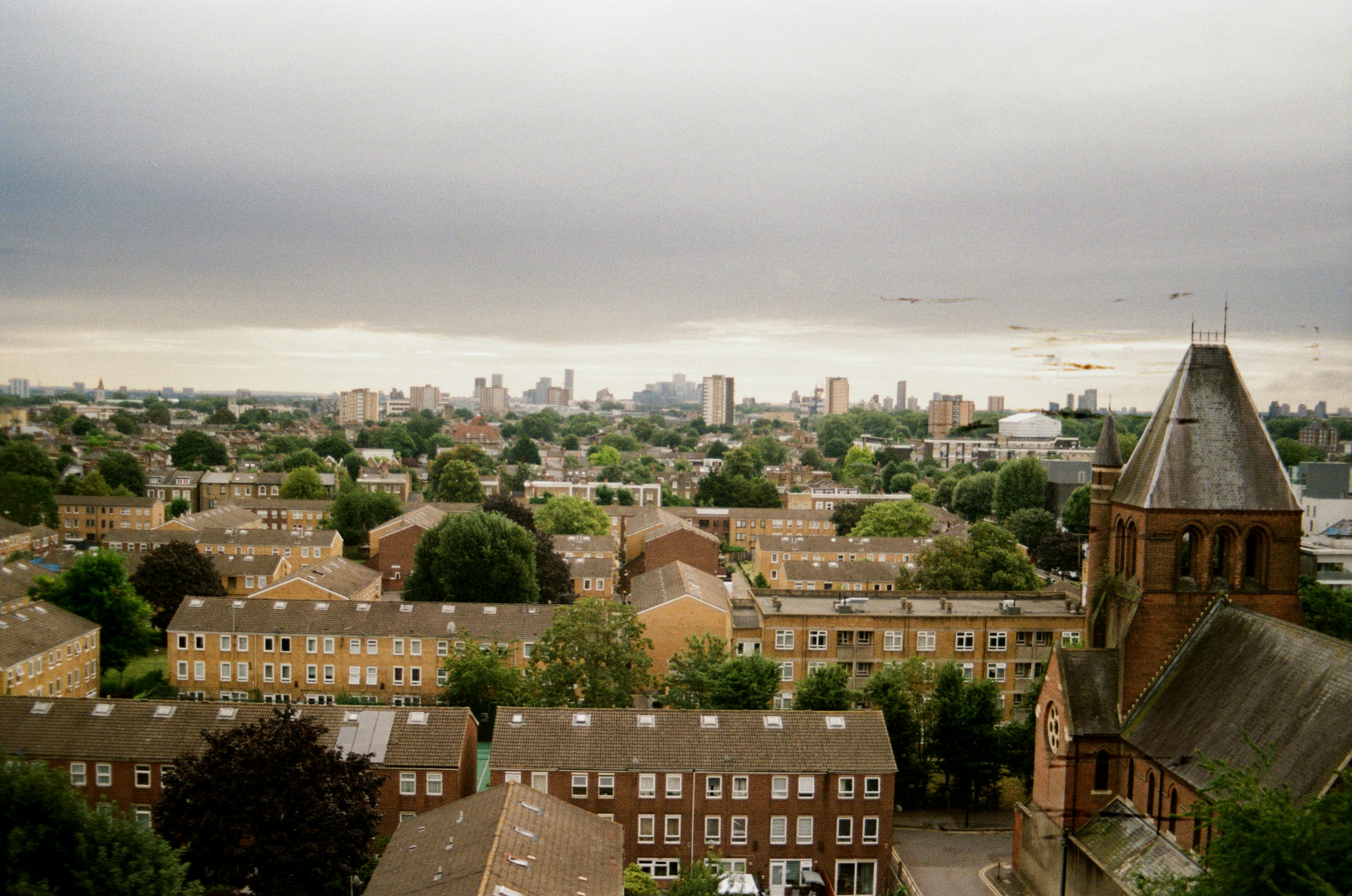Photo by babikacharava