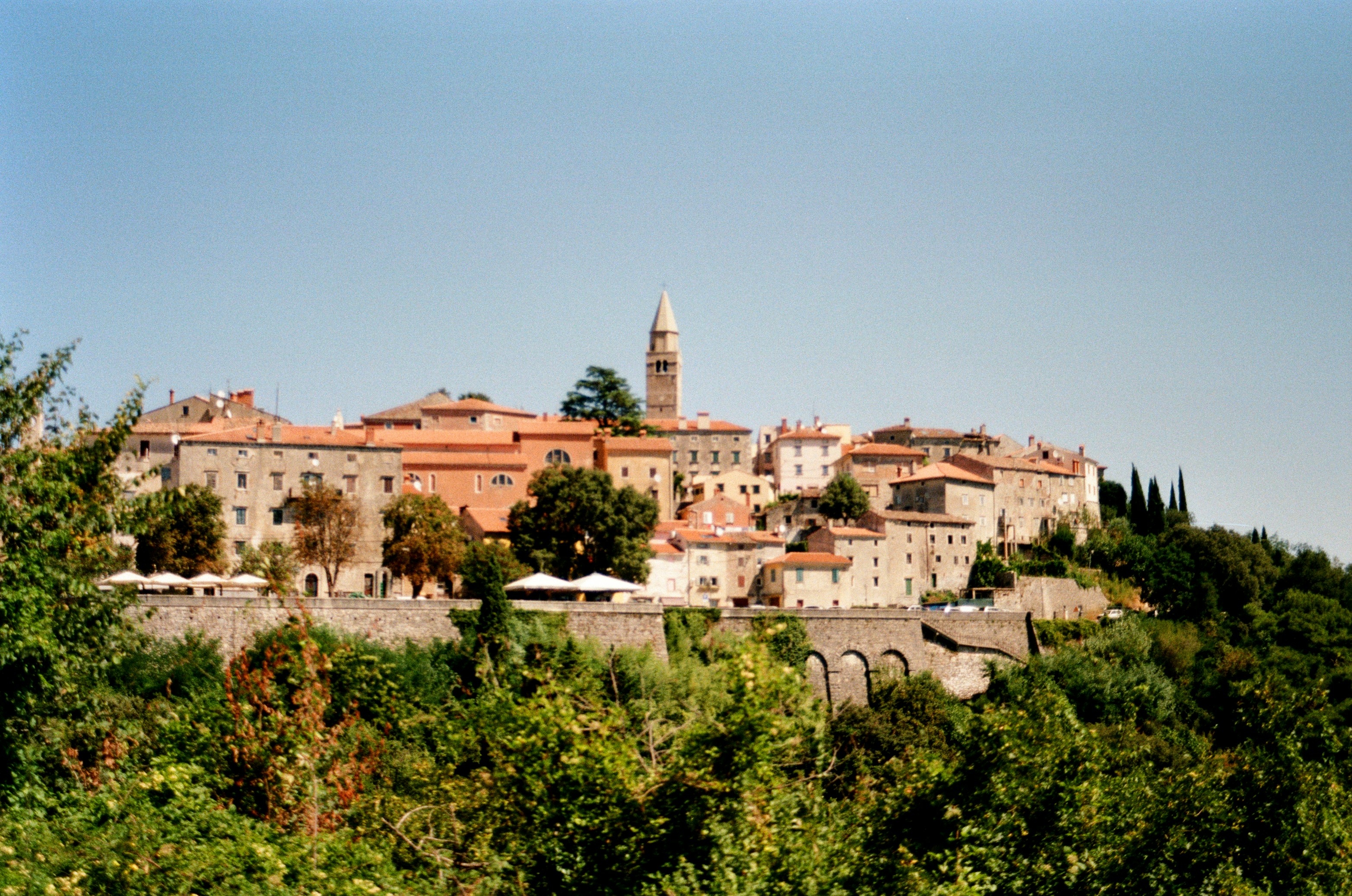 Photo by babikacharava