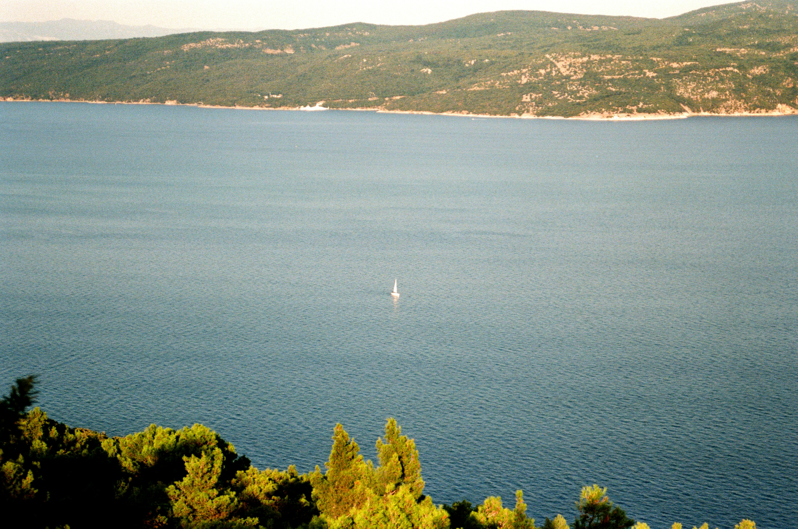 Photo by babikacharava