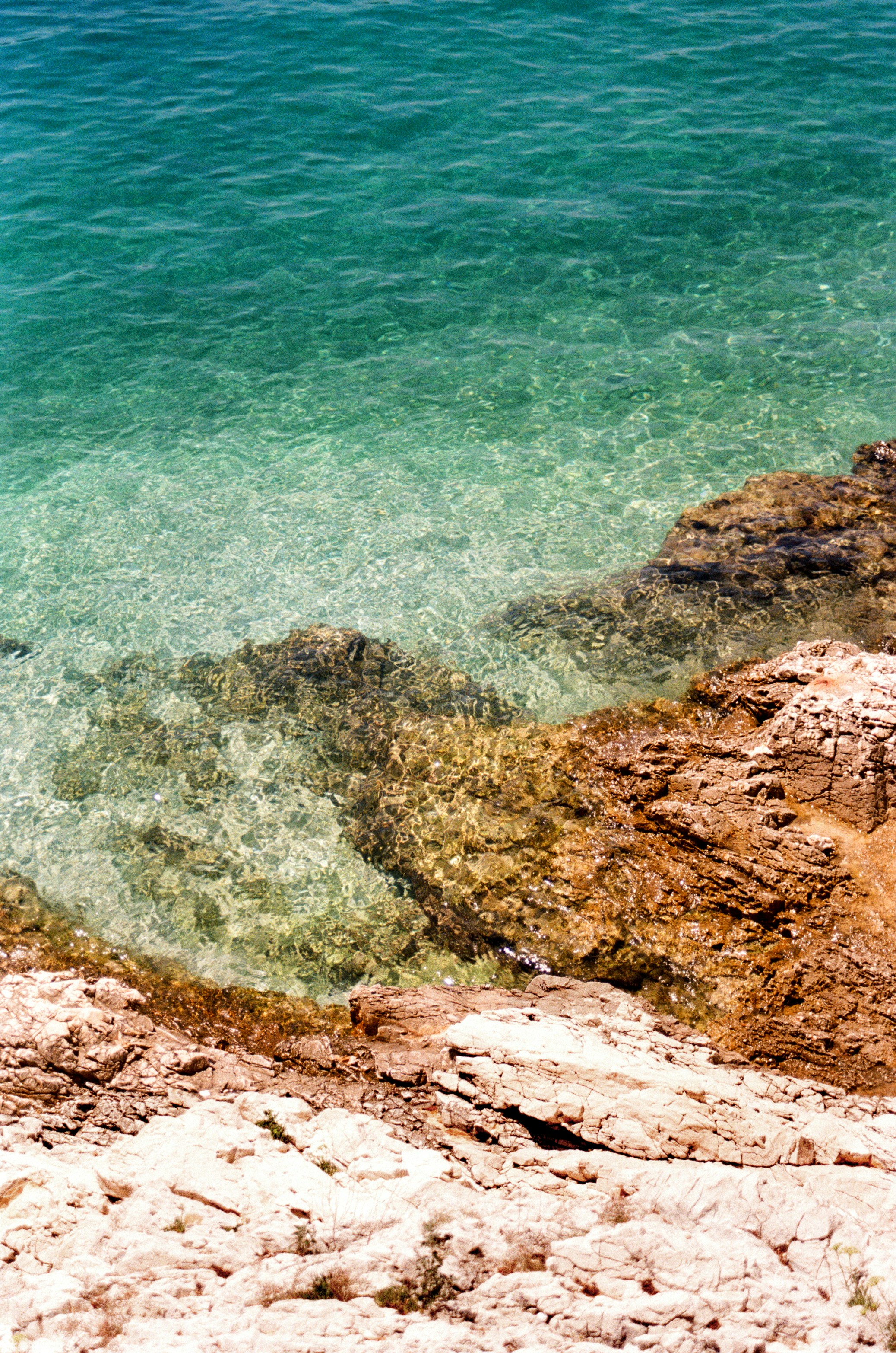 Photo by babikacharava