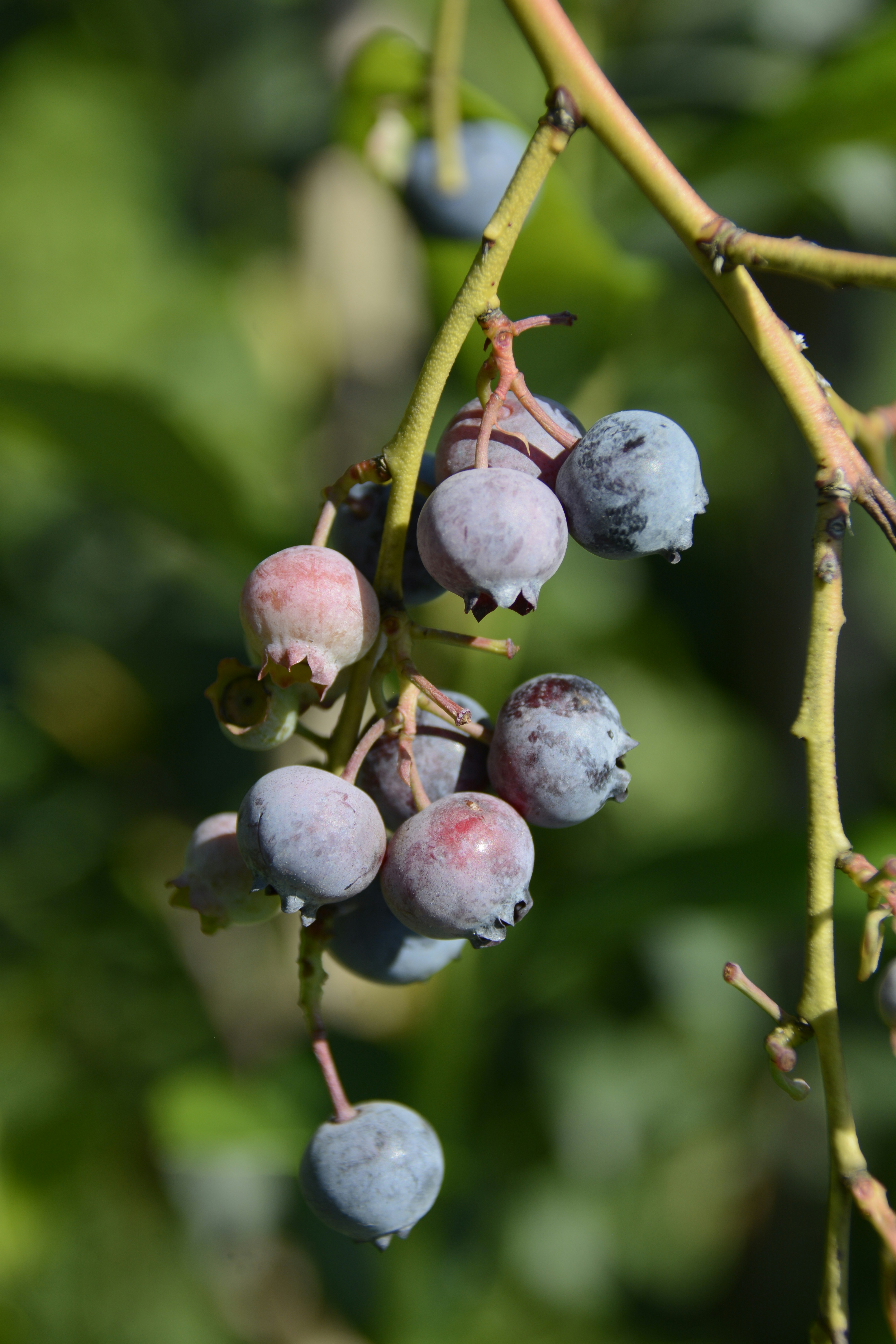 Photo by selvavaleska