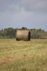 A couple of hay bales sitting on top of a lush green field
