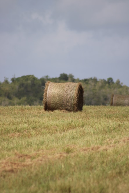 A couple of hay bales sitting on top of a lush green field