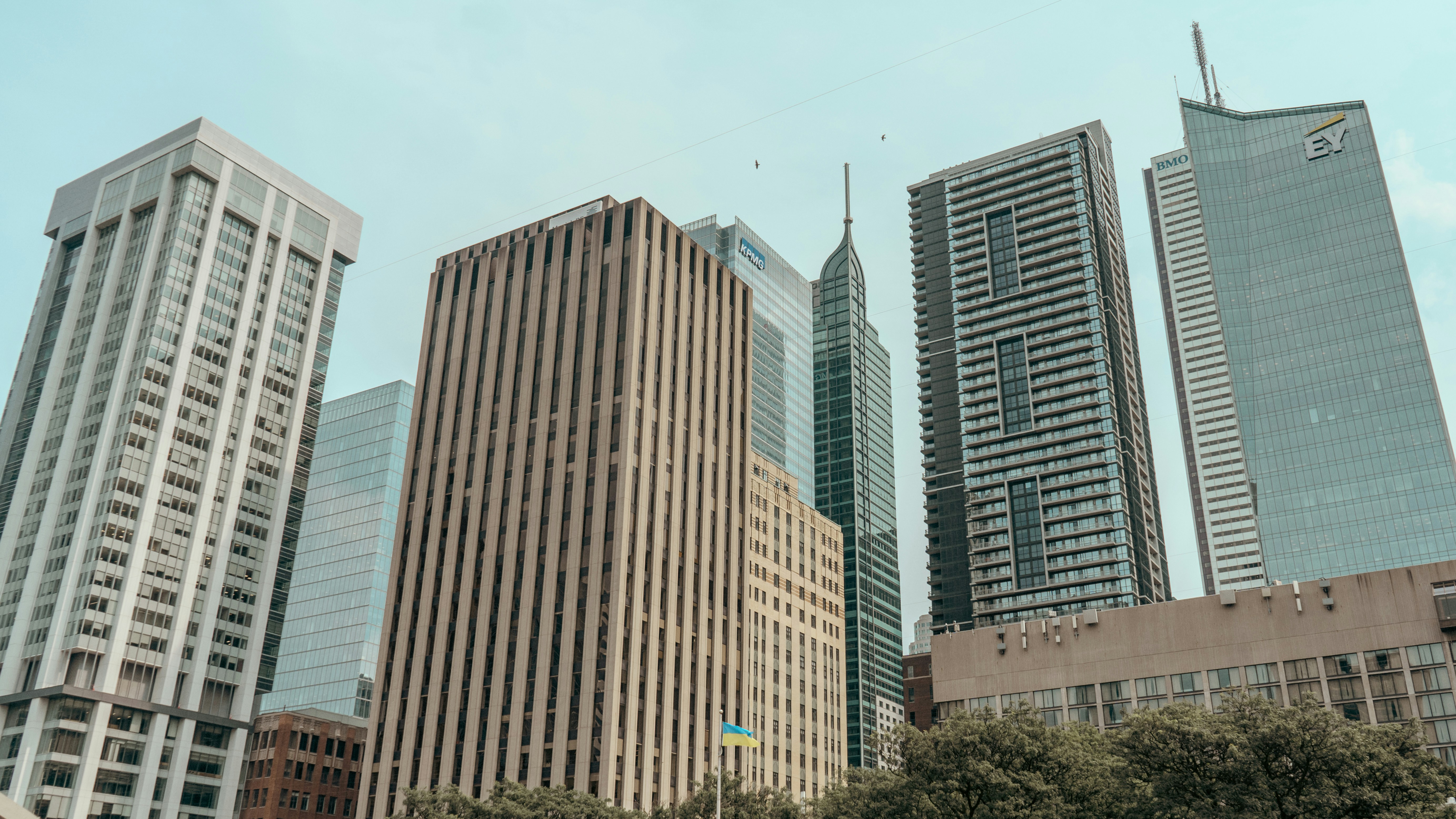 Photo by panjabseyon