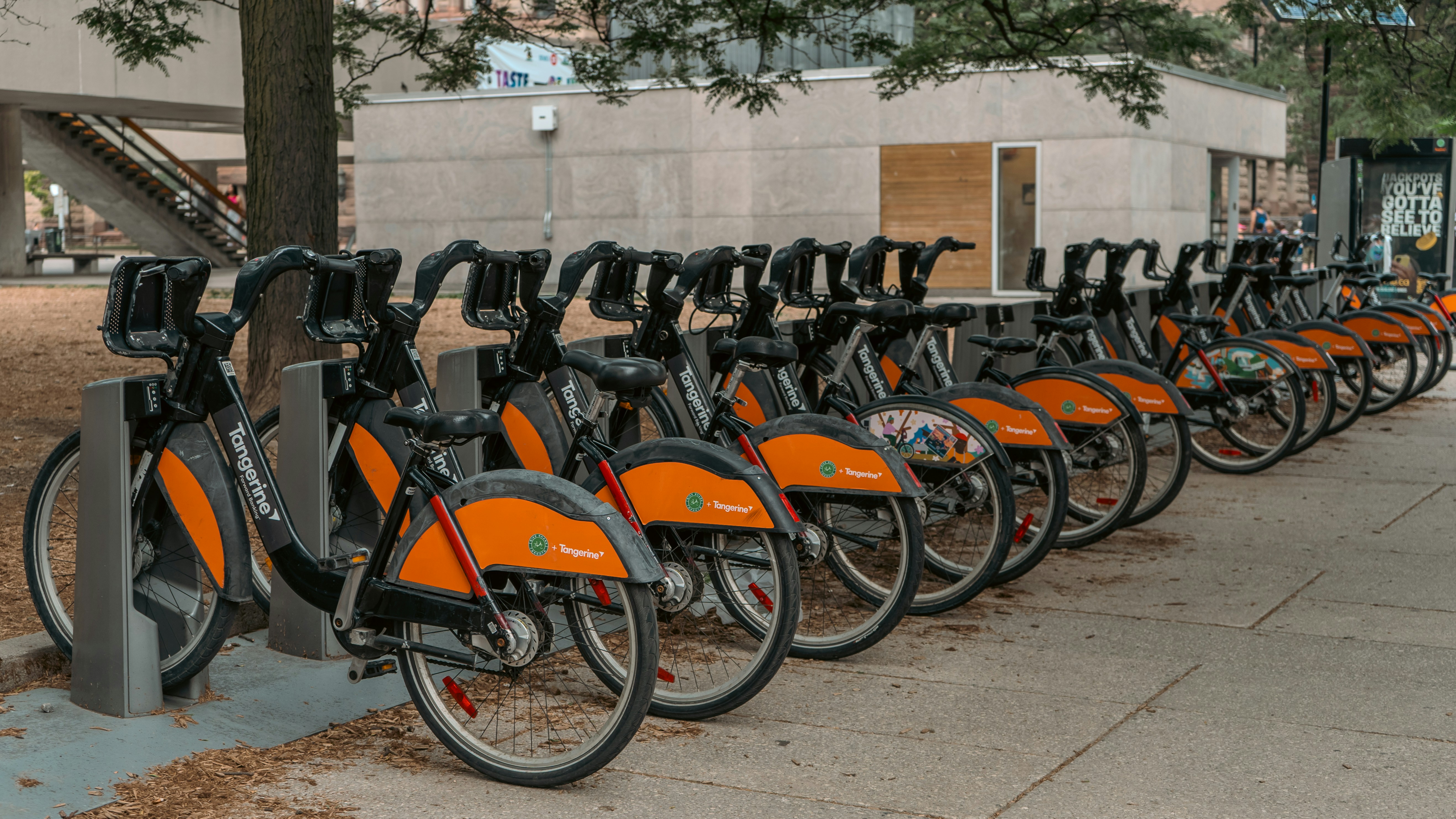 Photo by panjabseyon