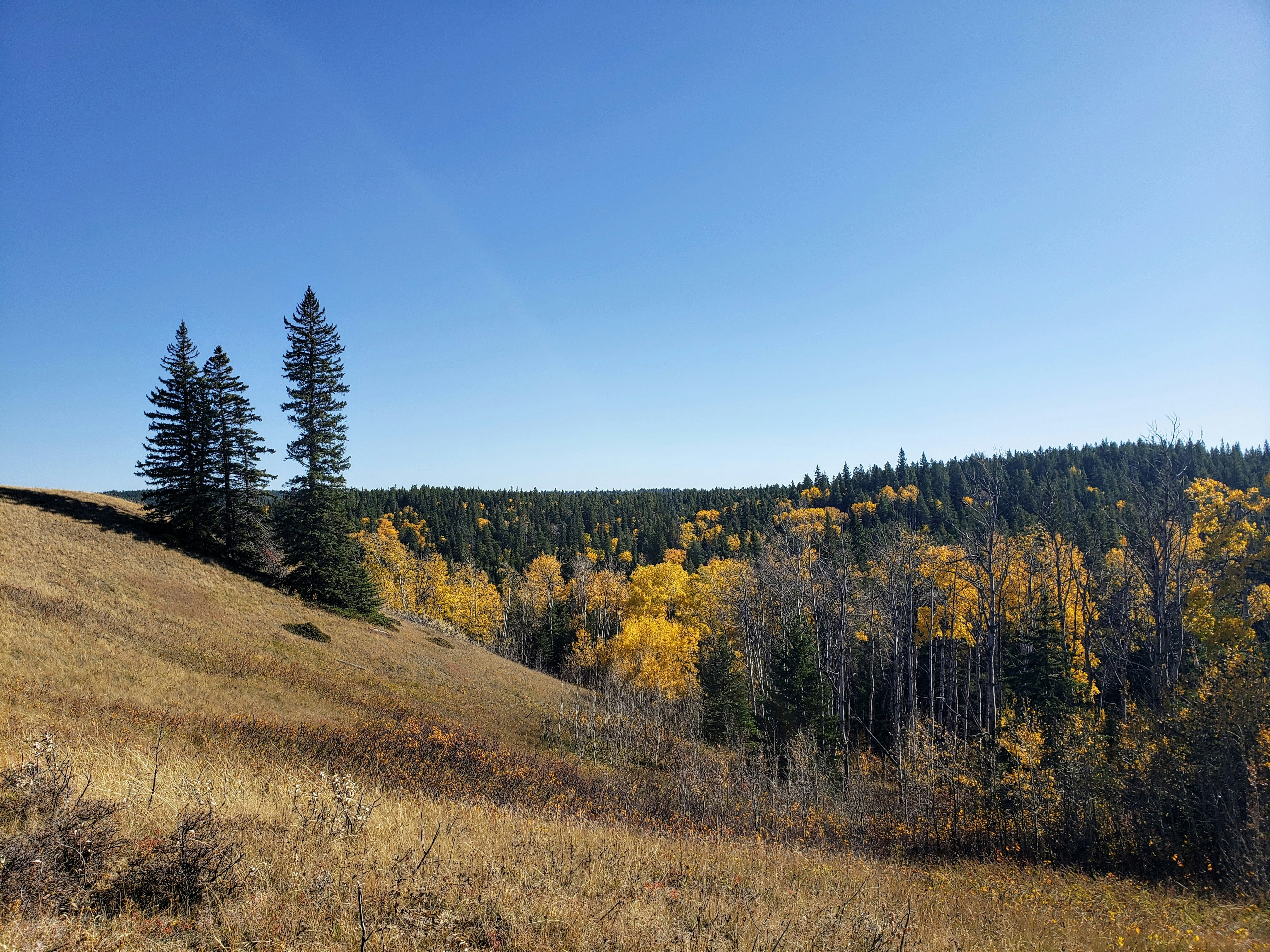 Photo by reading_rachel