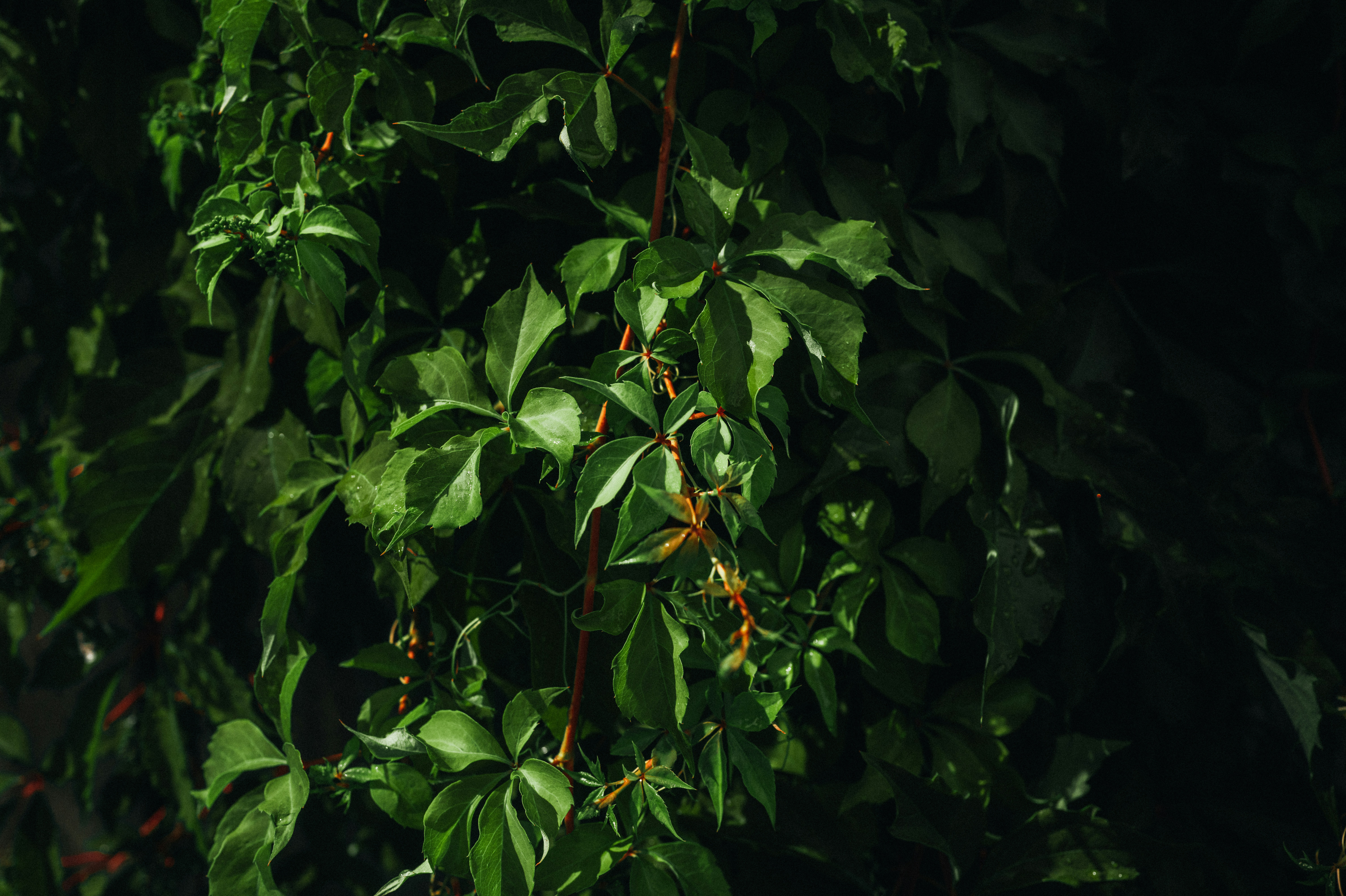 Photo by currentspaces