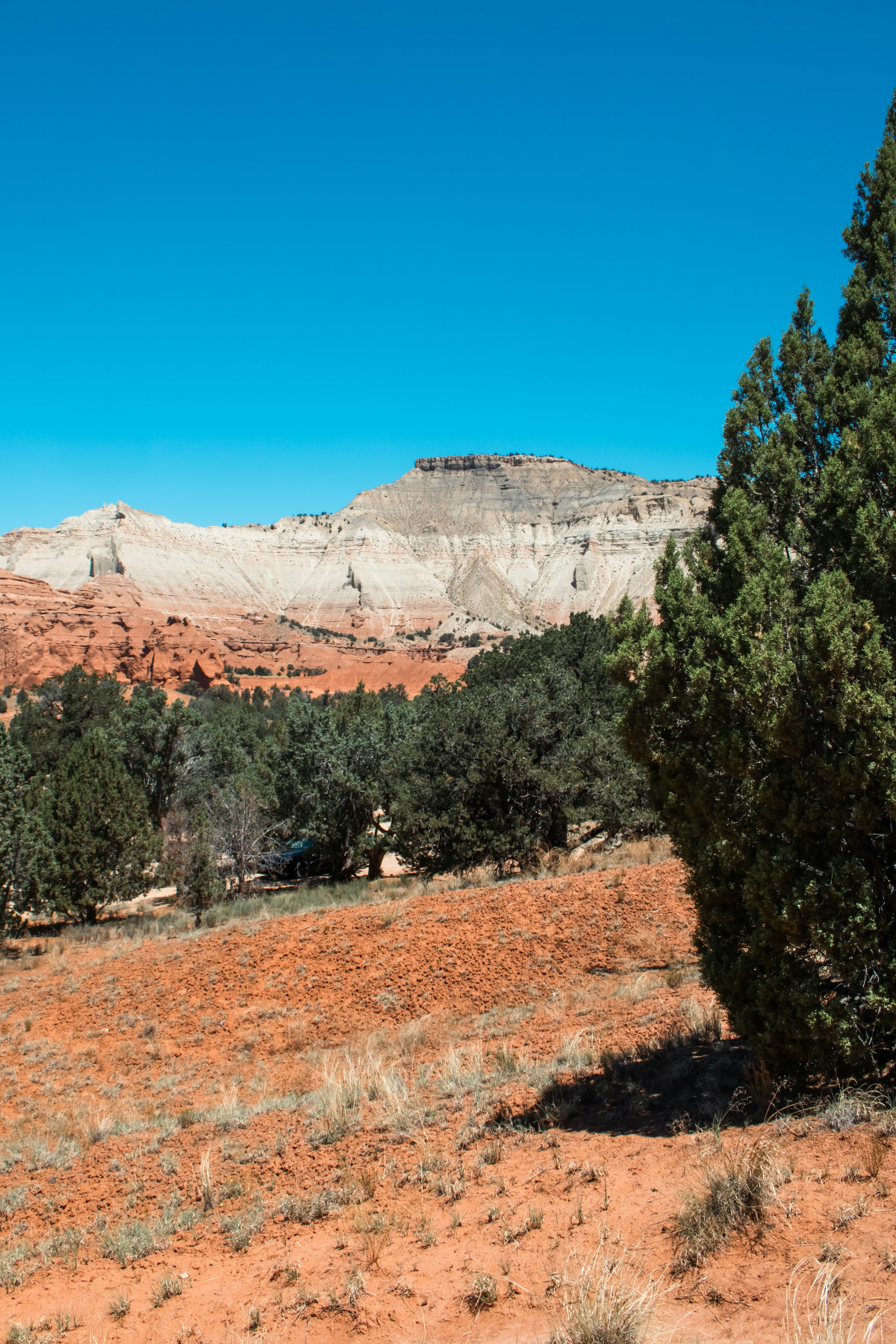 Photo by zoshuacolah