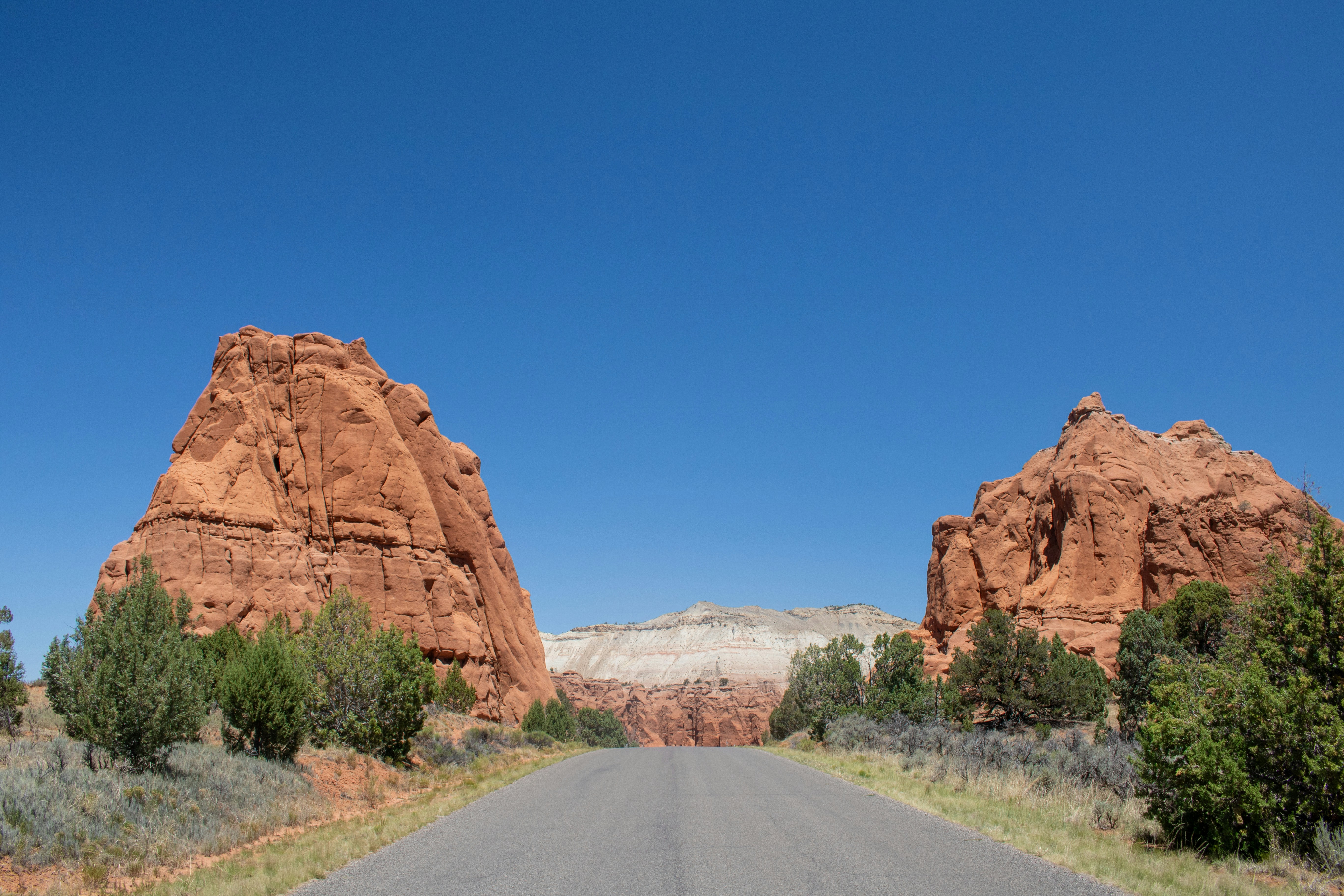 Photo by zoshuacolah