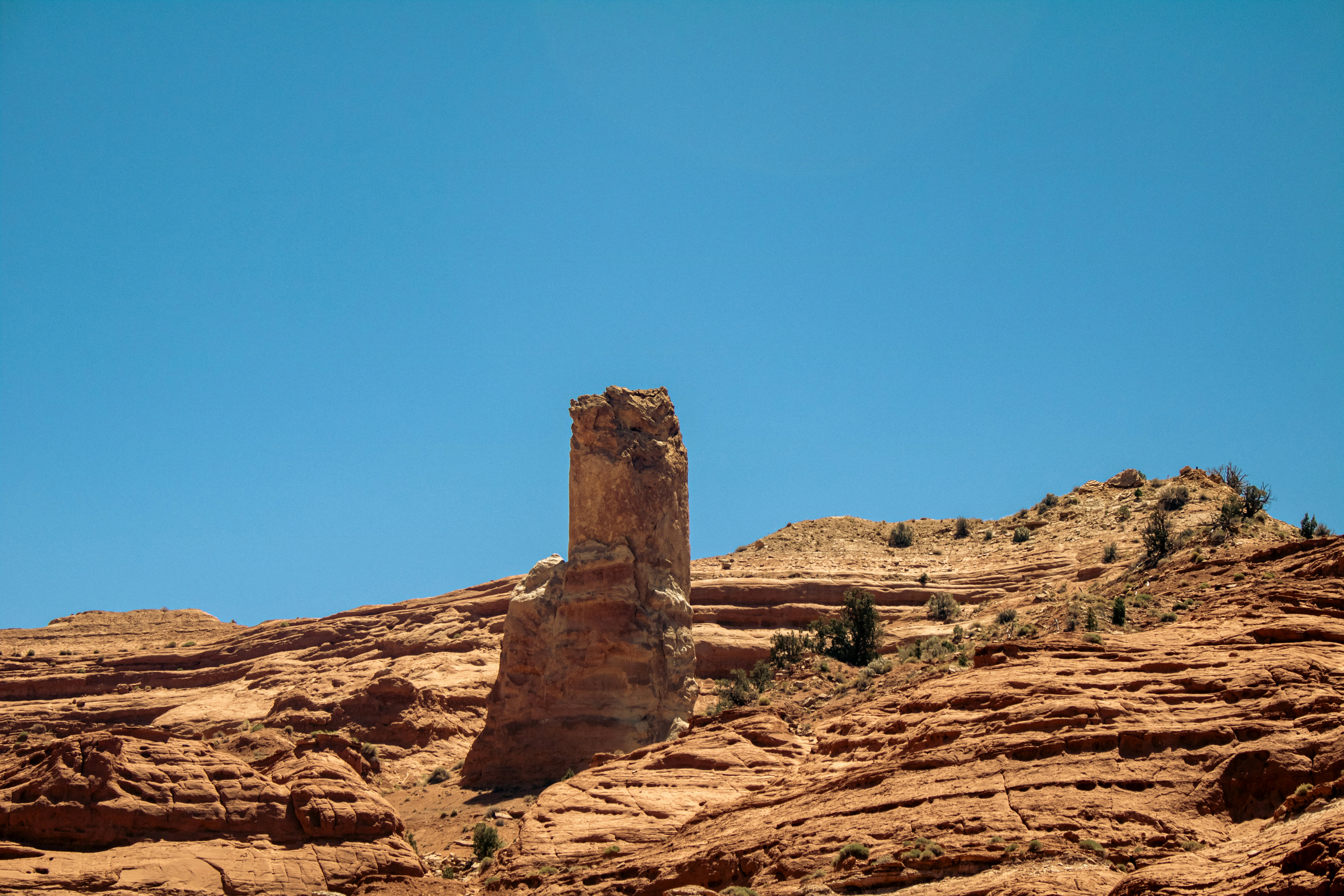 Photo by zoshuacolah