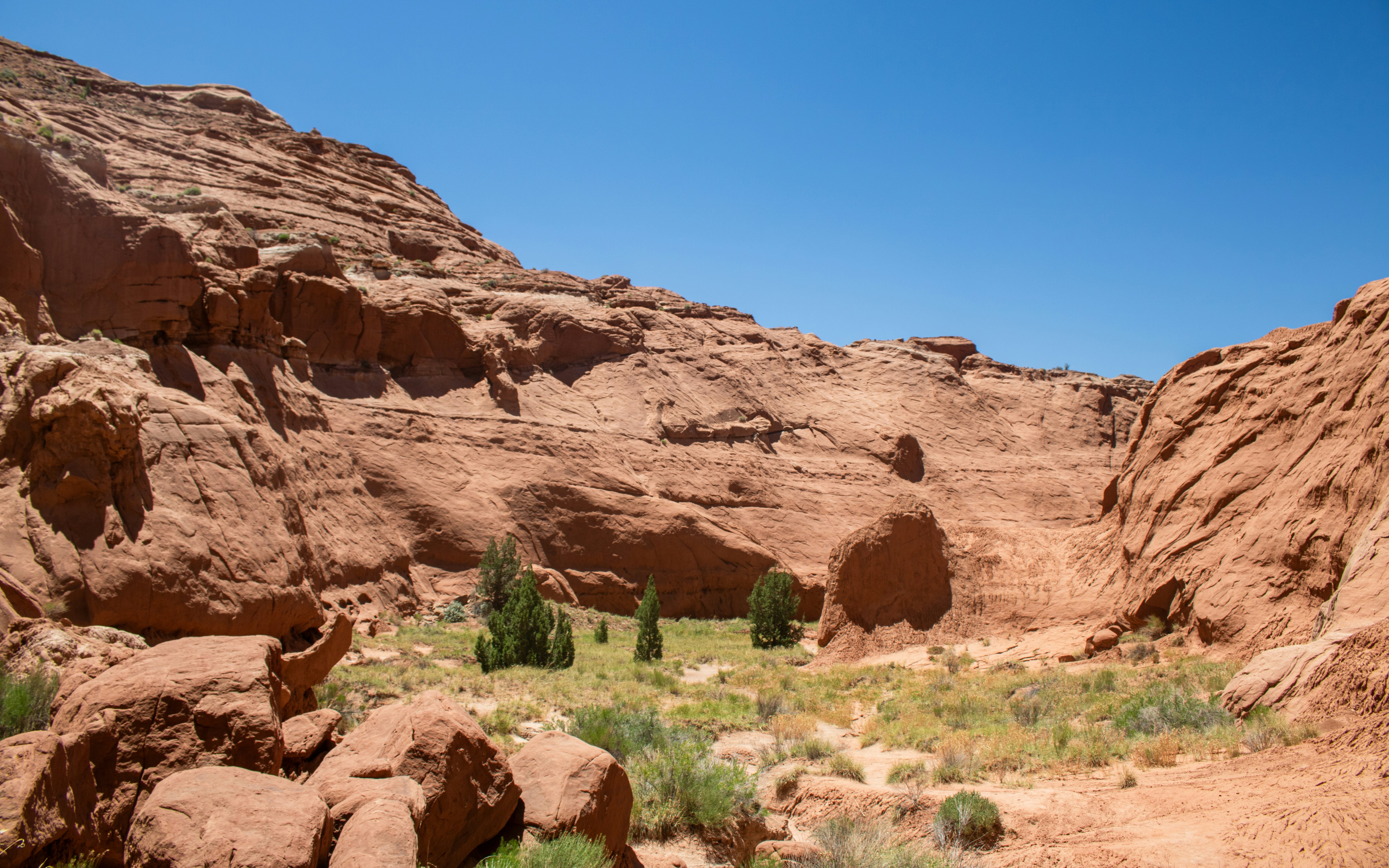 Photo by zoshuacolah