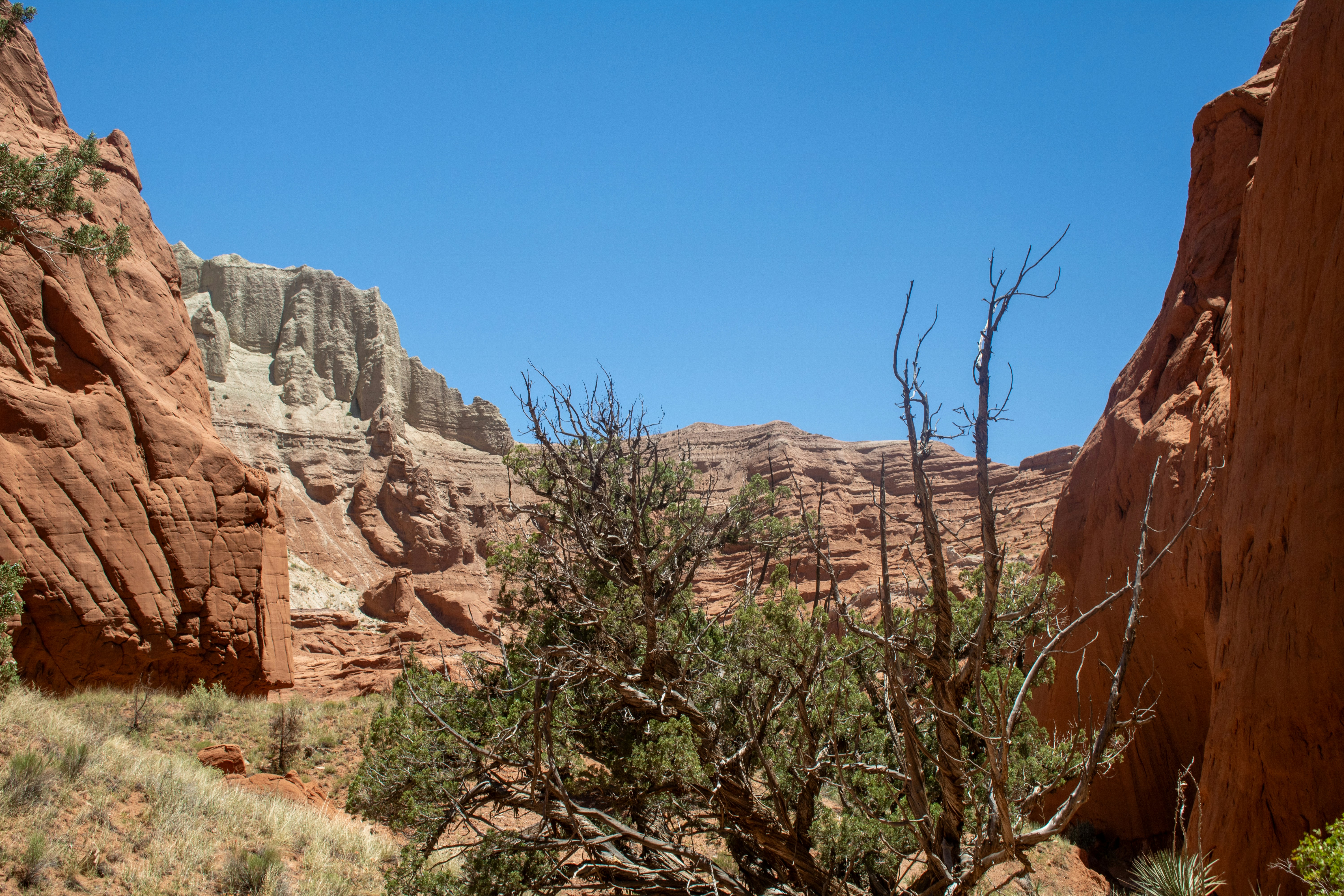 Photo by zoshuacolah