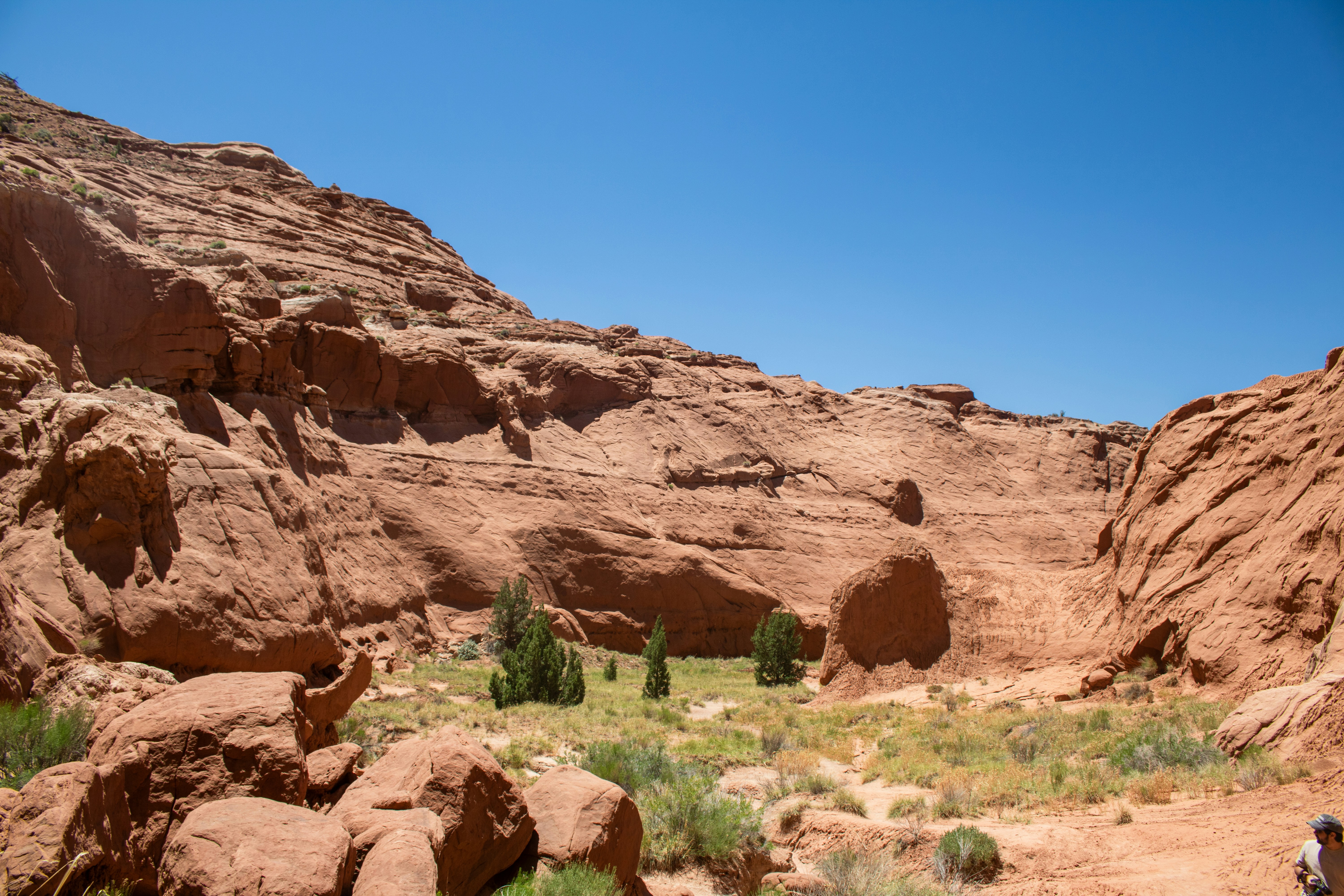 Photo by zoshuacolah