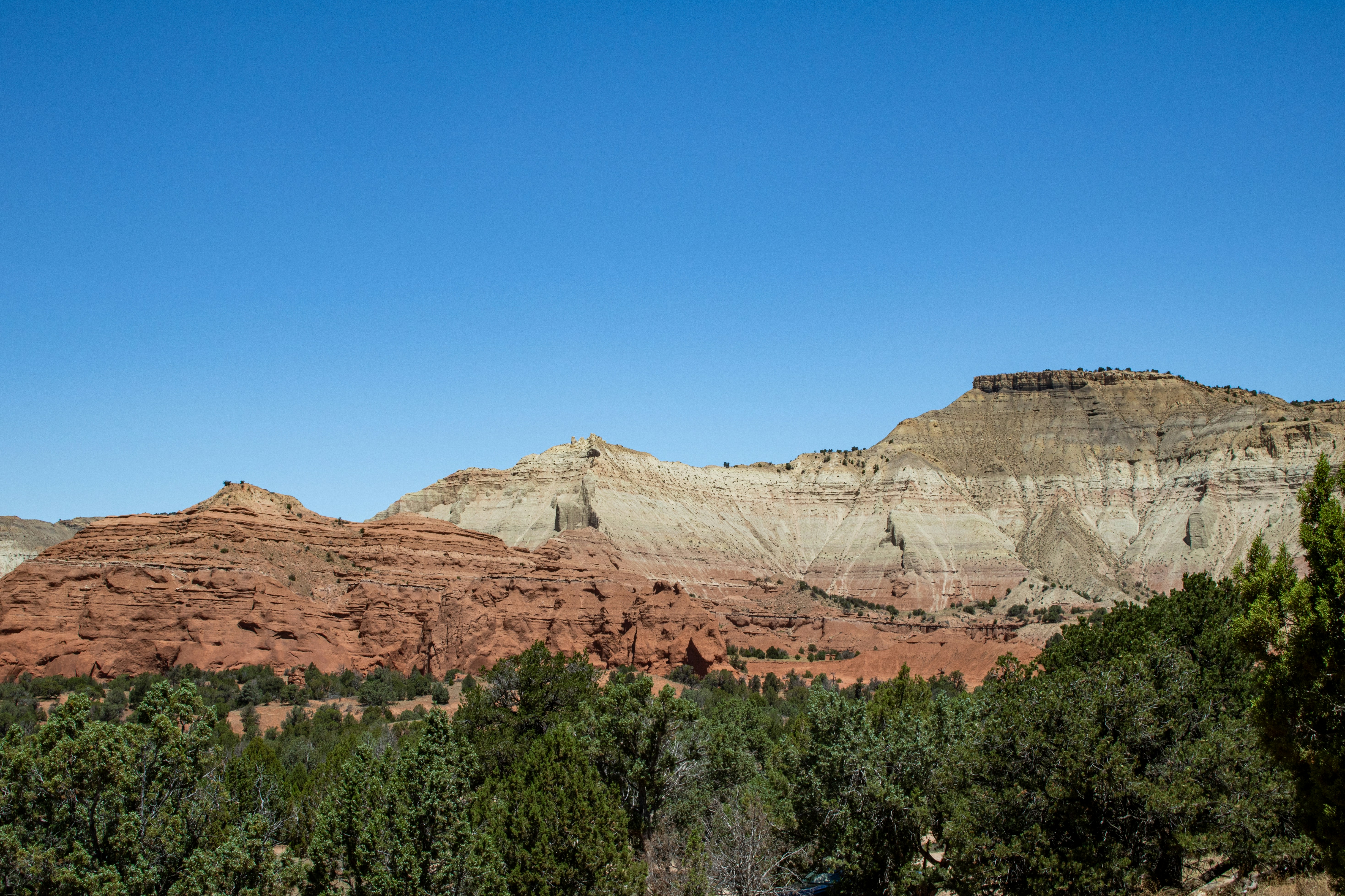 Photo by zoshuacolah