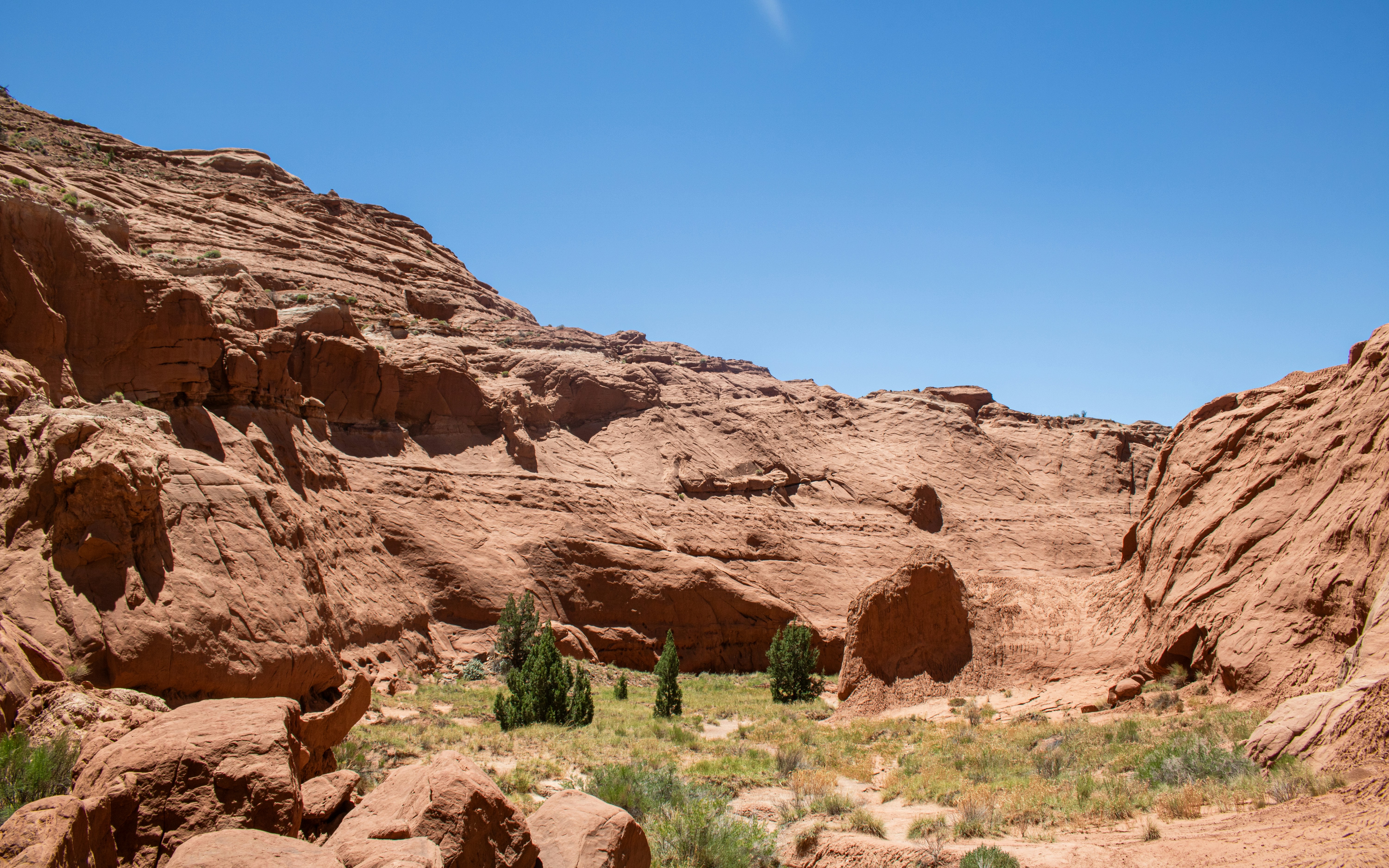 Photo by zoshuacolah