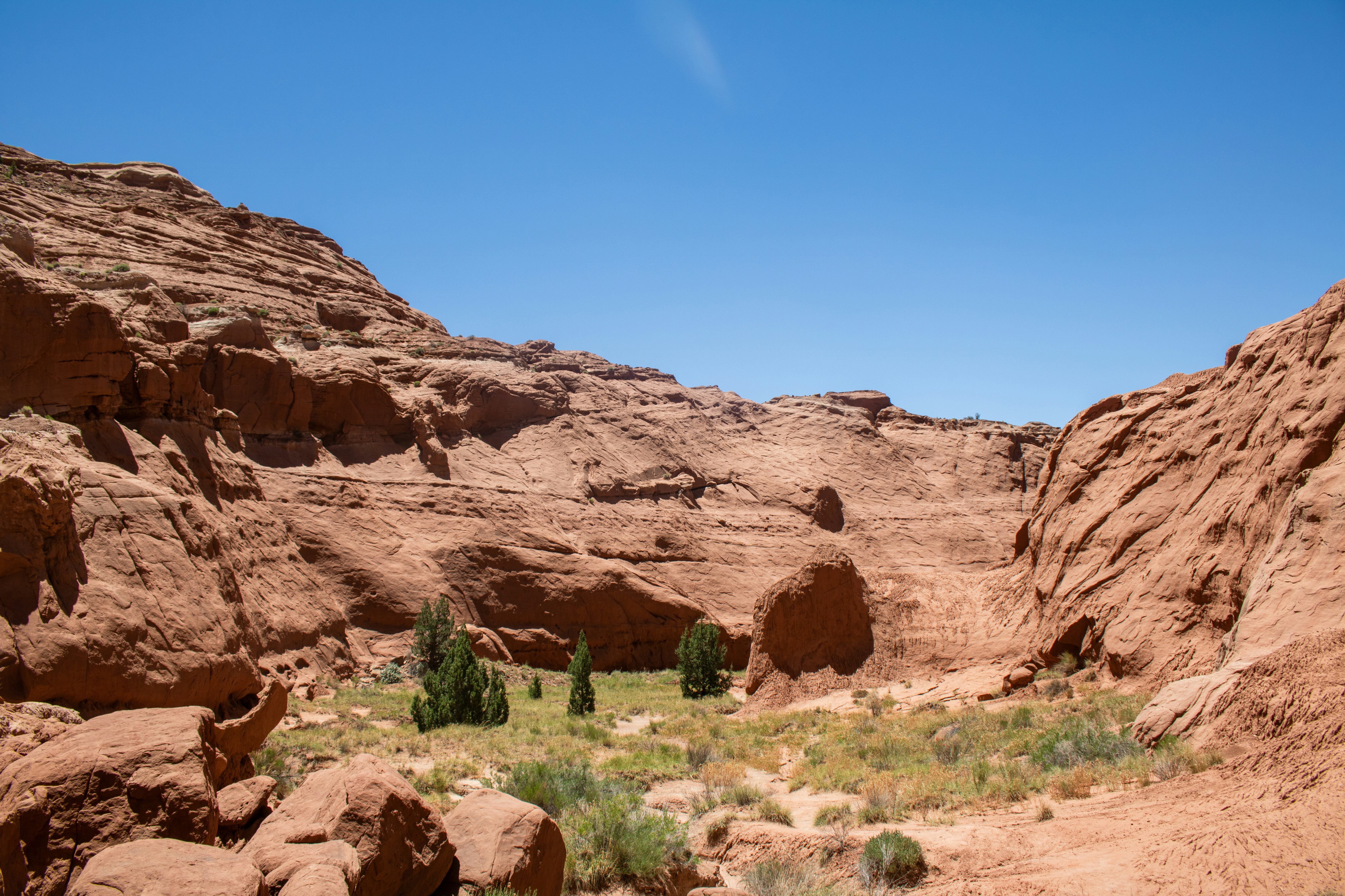 Photo by zoshuacolah