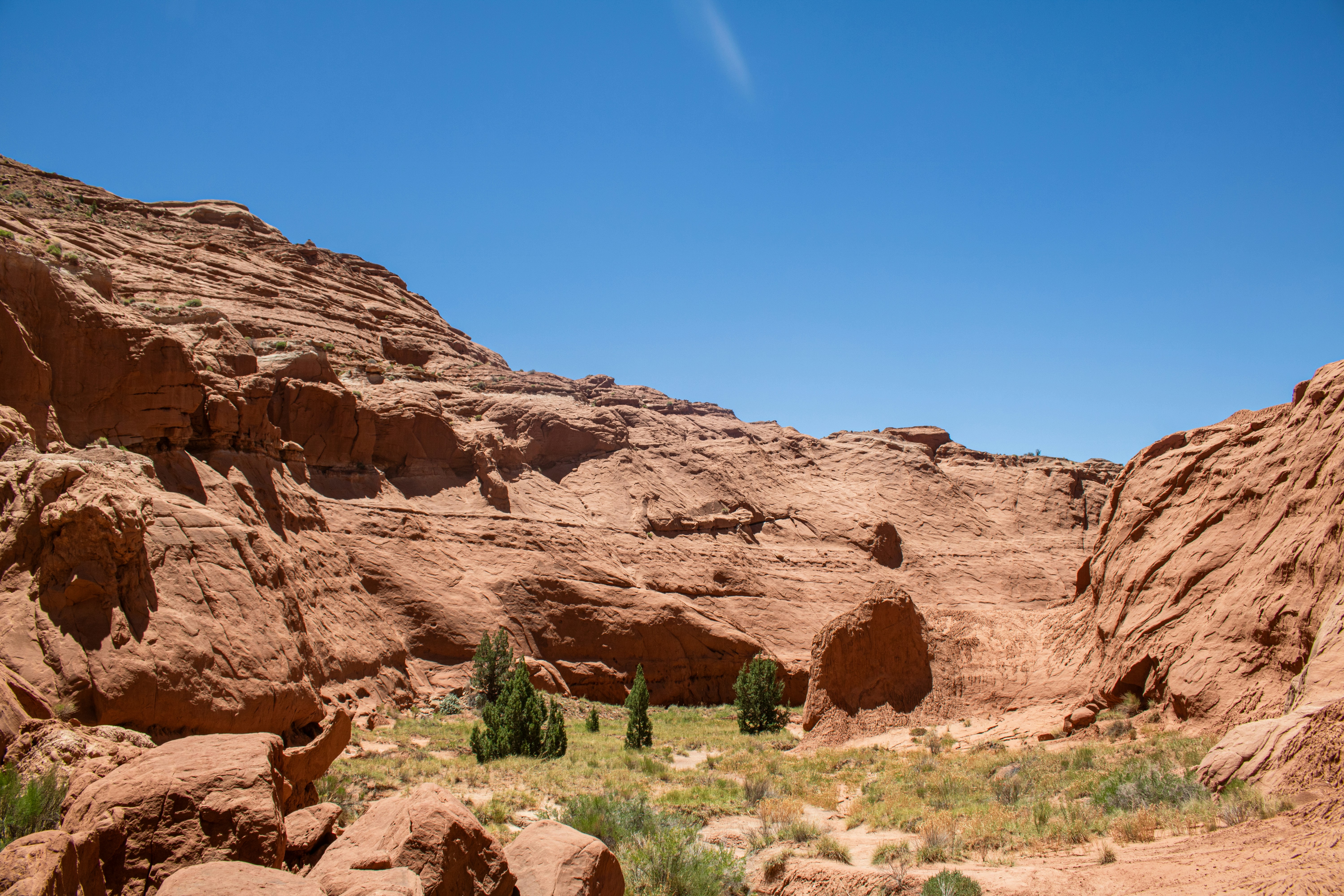 Photo by zoshuacolah