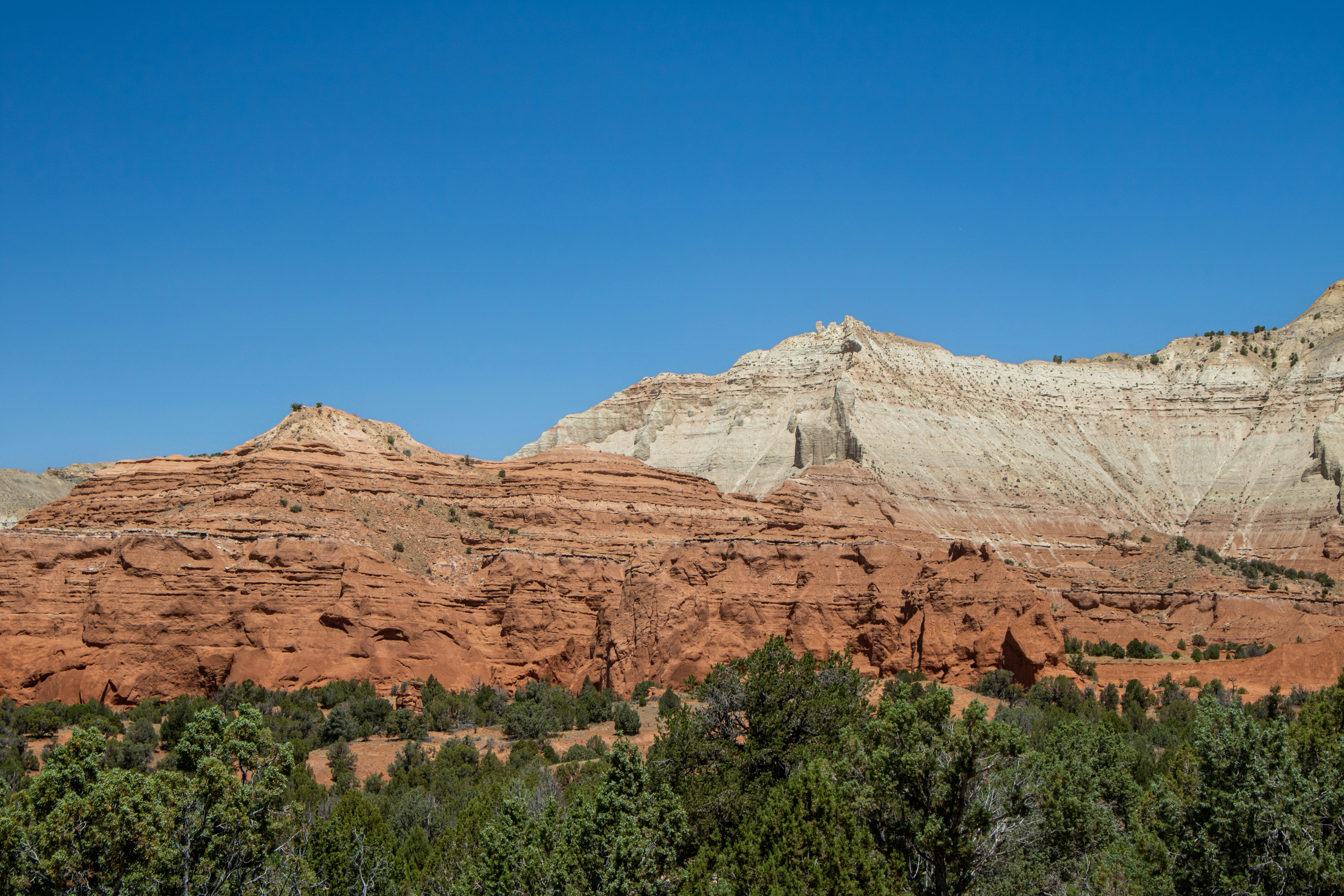 Photo by zoshuacolah