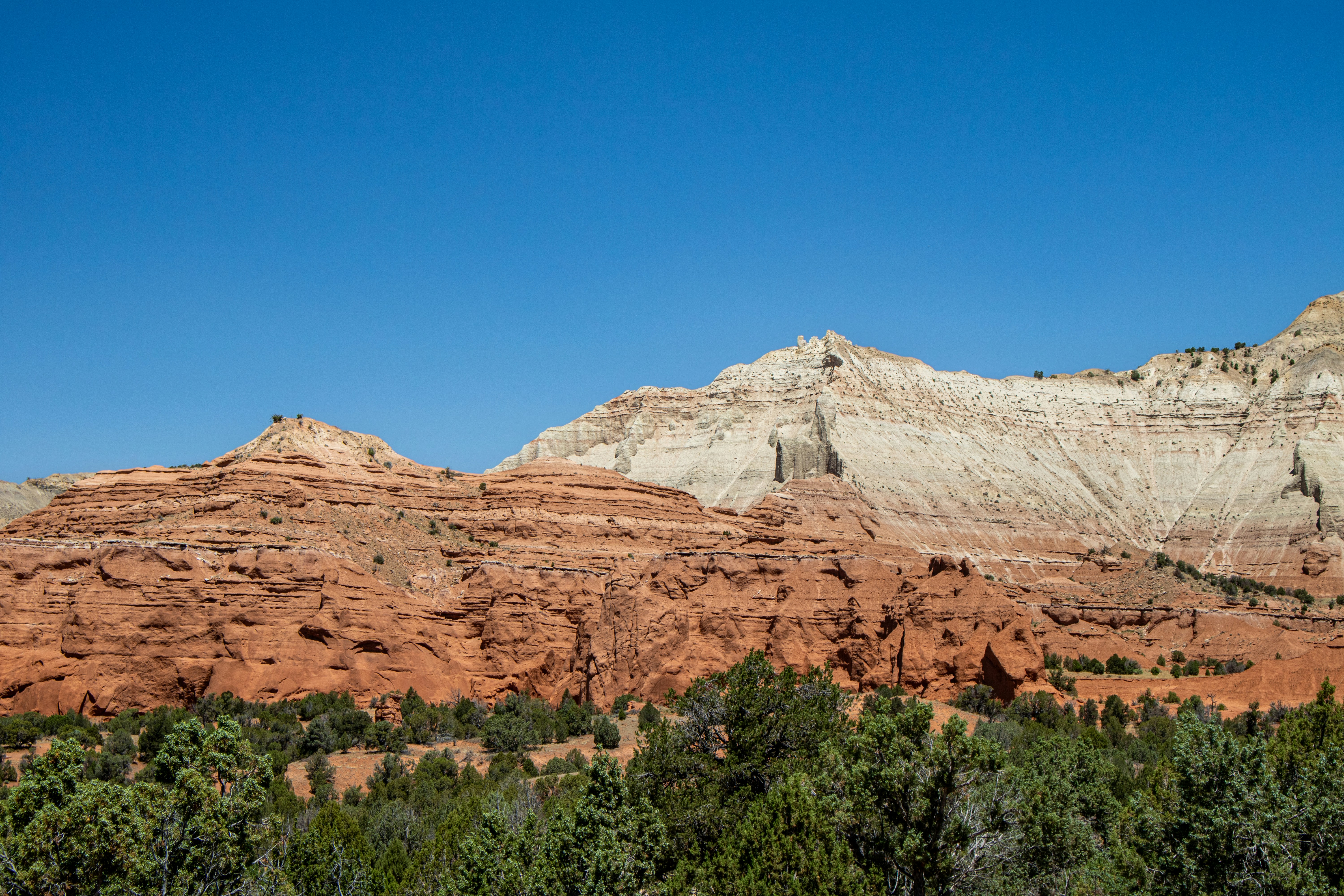 Photo by zoshuacolah