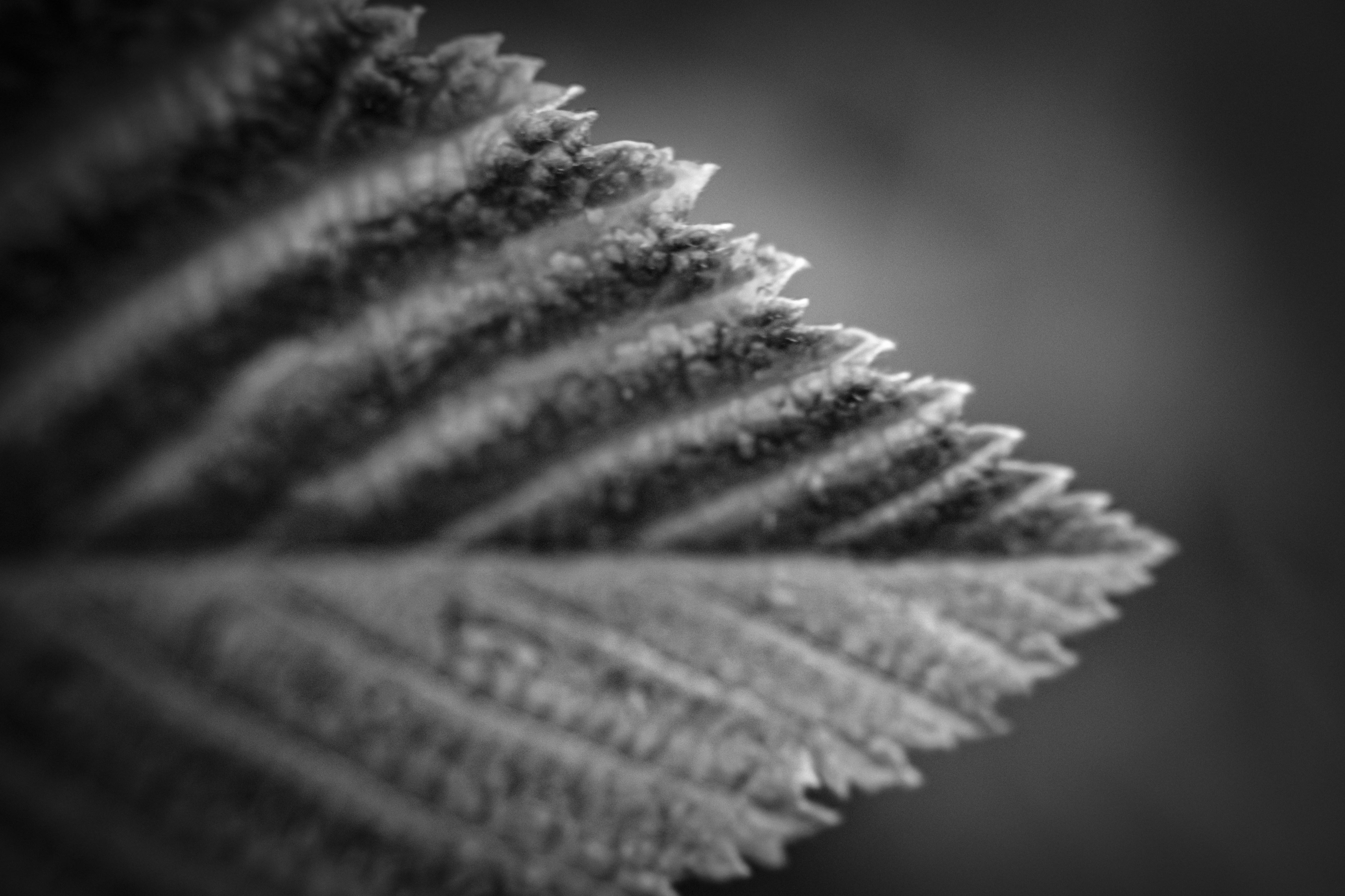 Photo by richiemortis