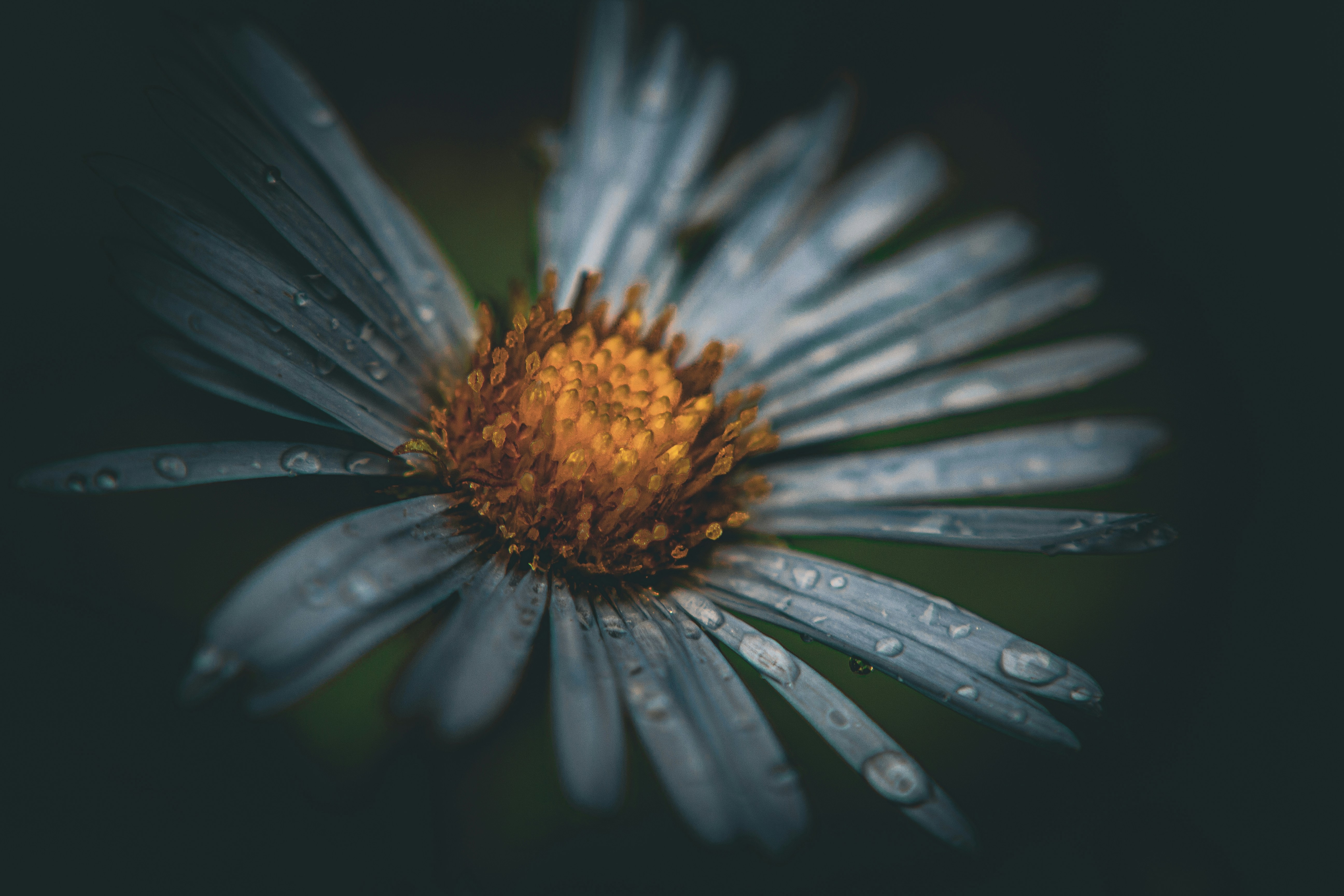 What To Do on a Rainy Day on MDI? 