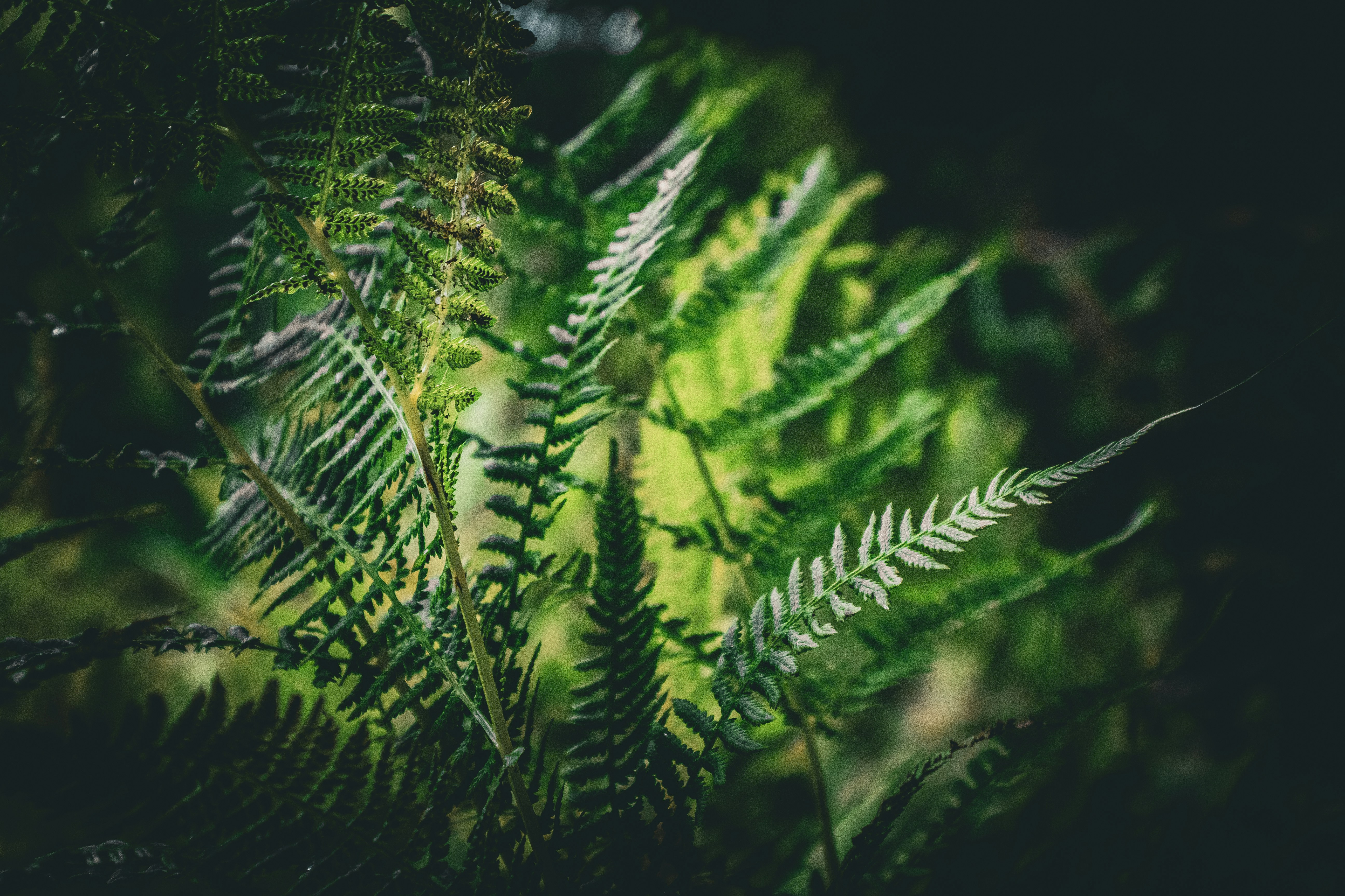 Photo by richiemortis