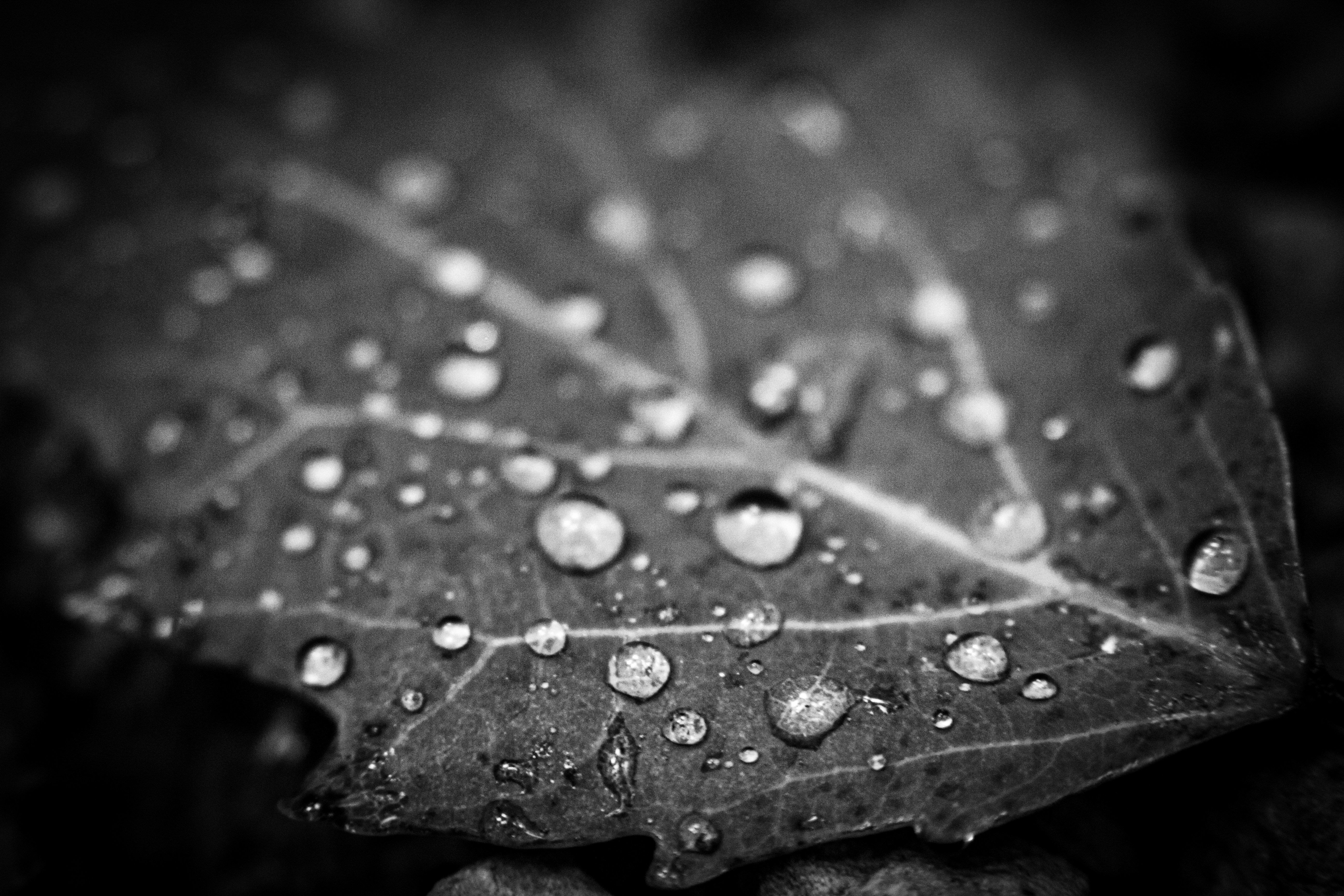 Photo by richiemortis