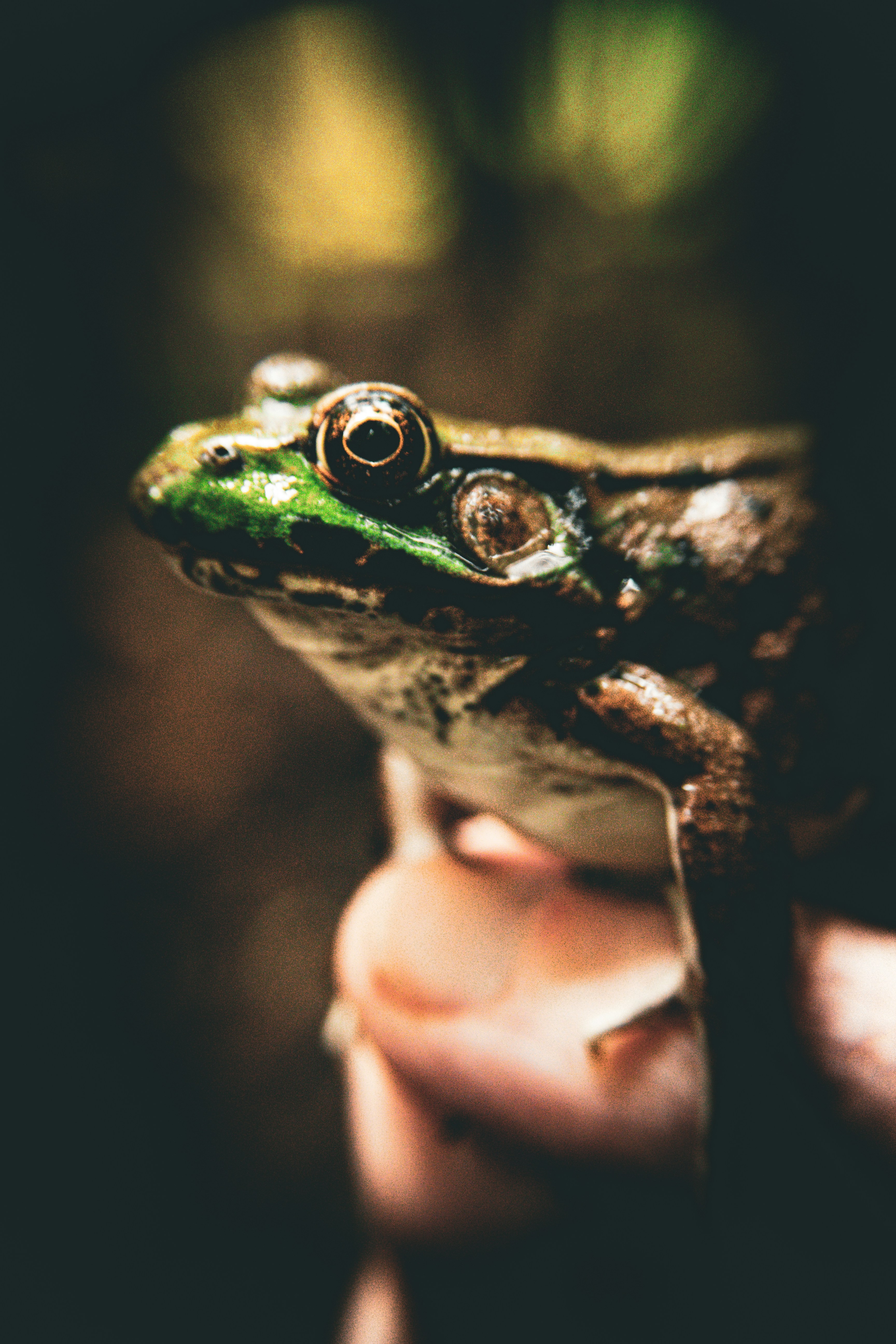 Photo by richiemortis