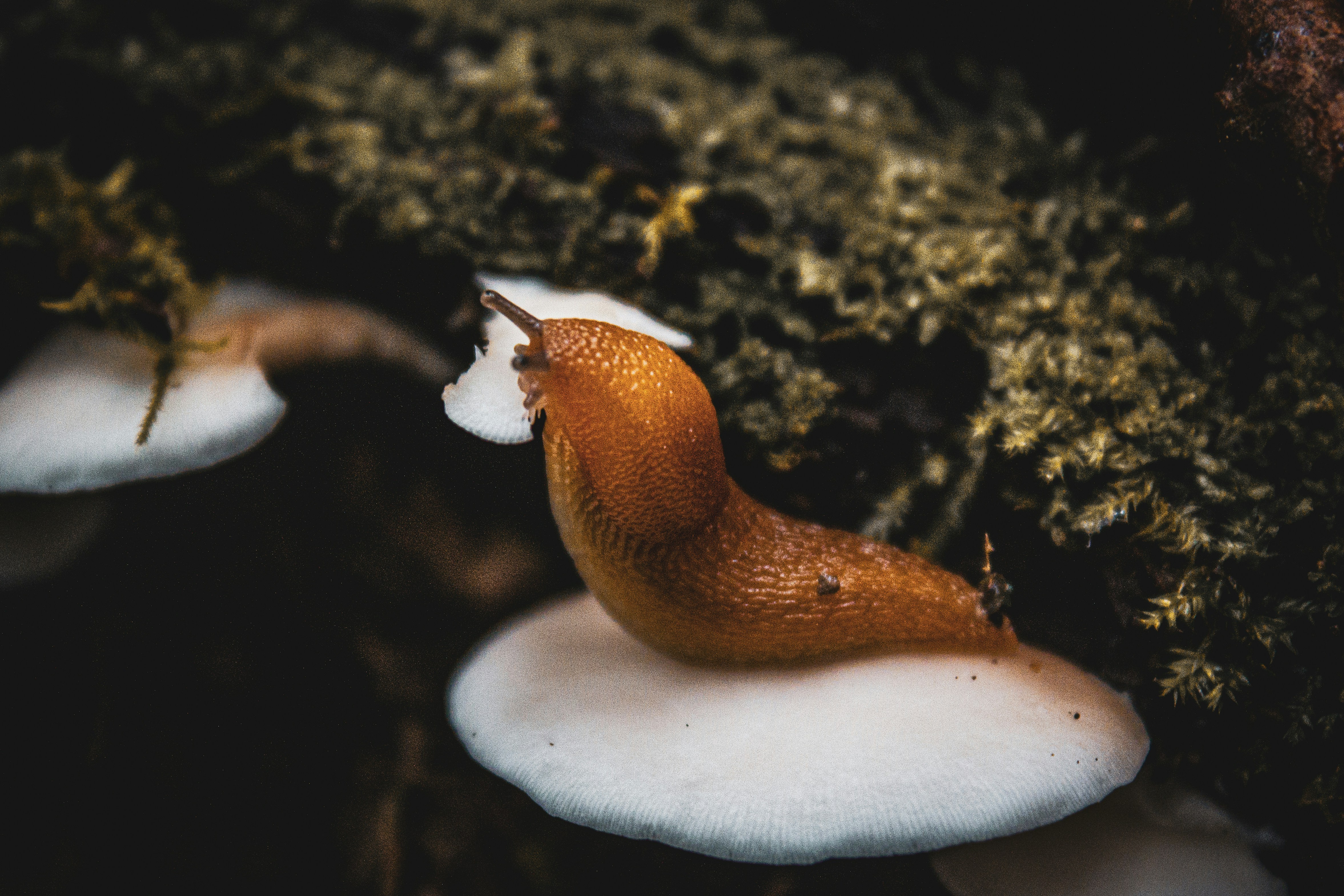 Photo by richiemortis