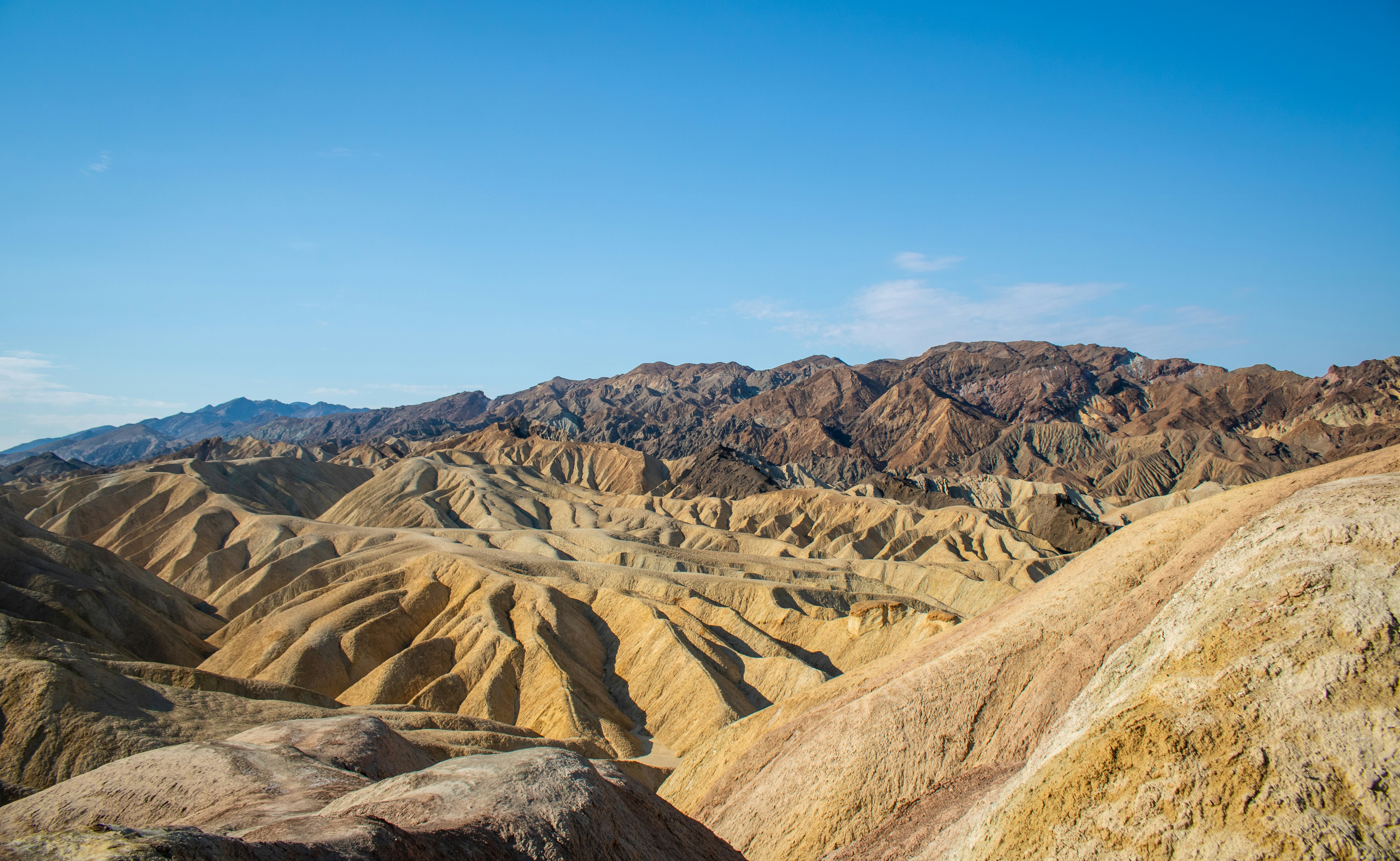 Photo by zoshuacolah