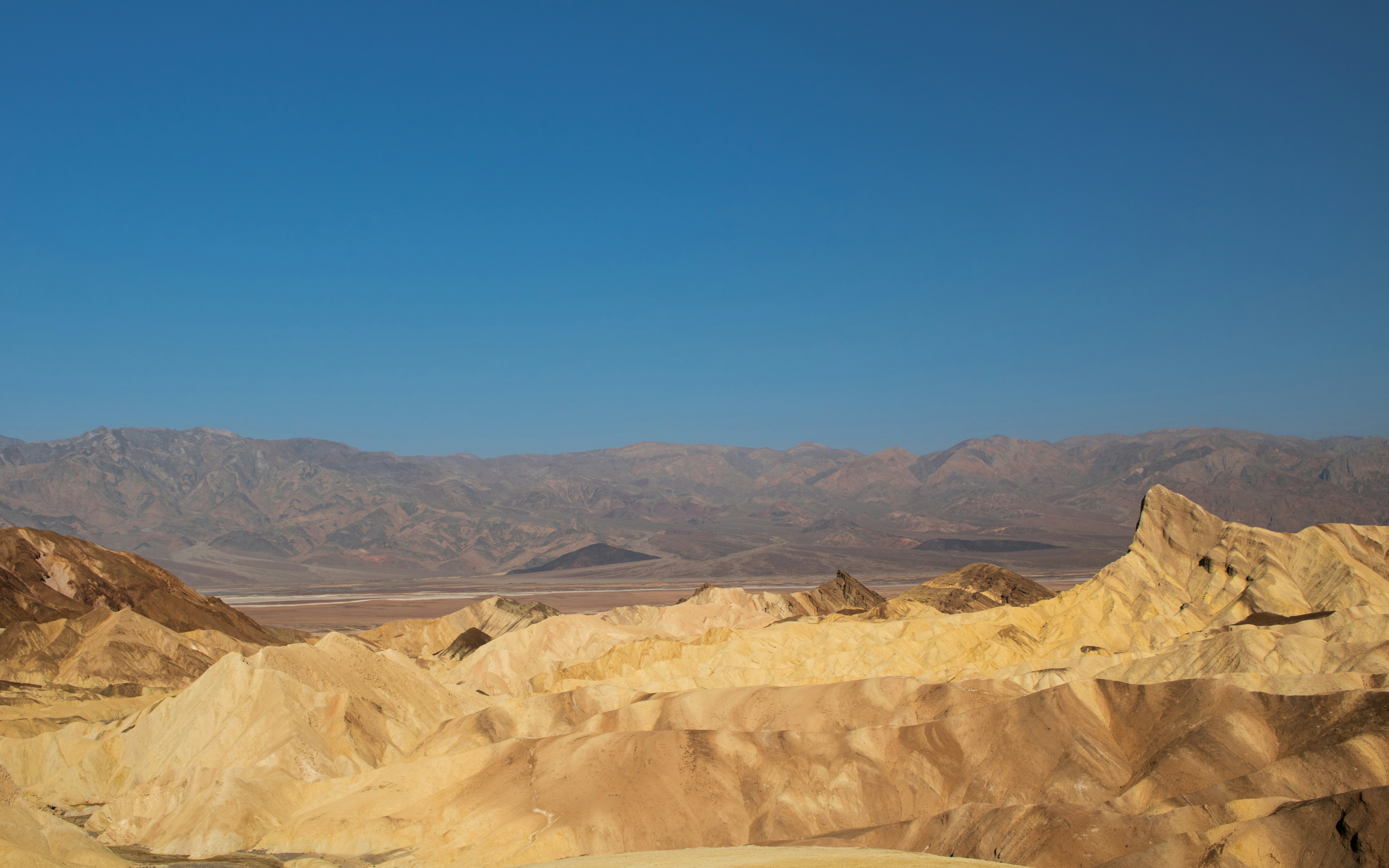 Photo by zoshuacolah