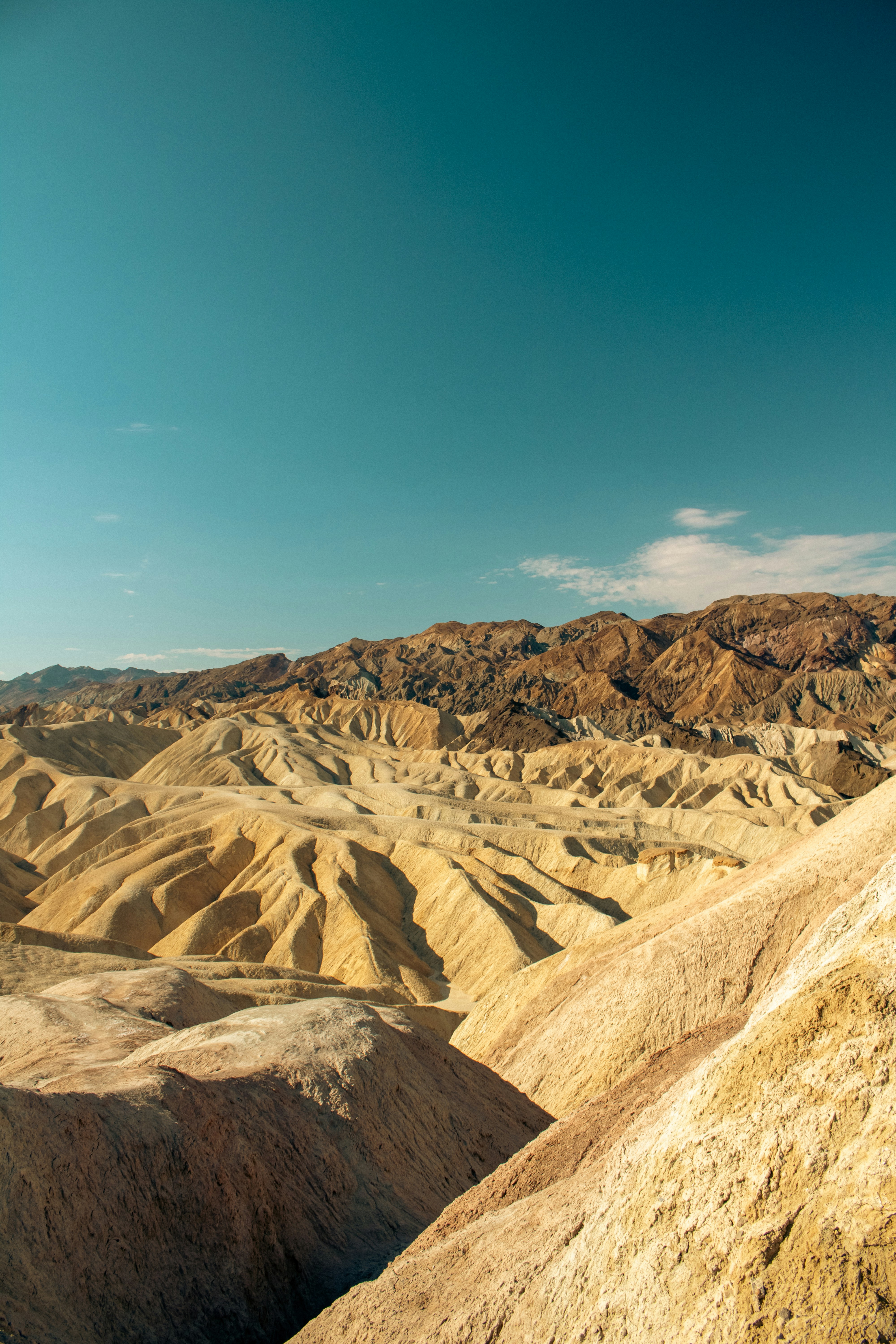 Photo by zoshuacolah