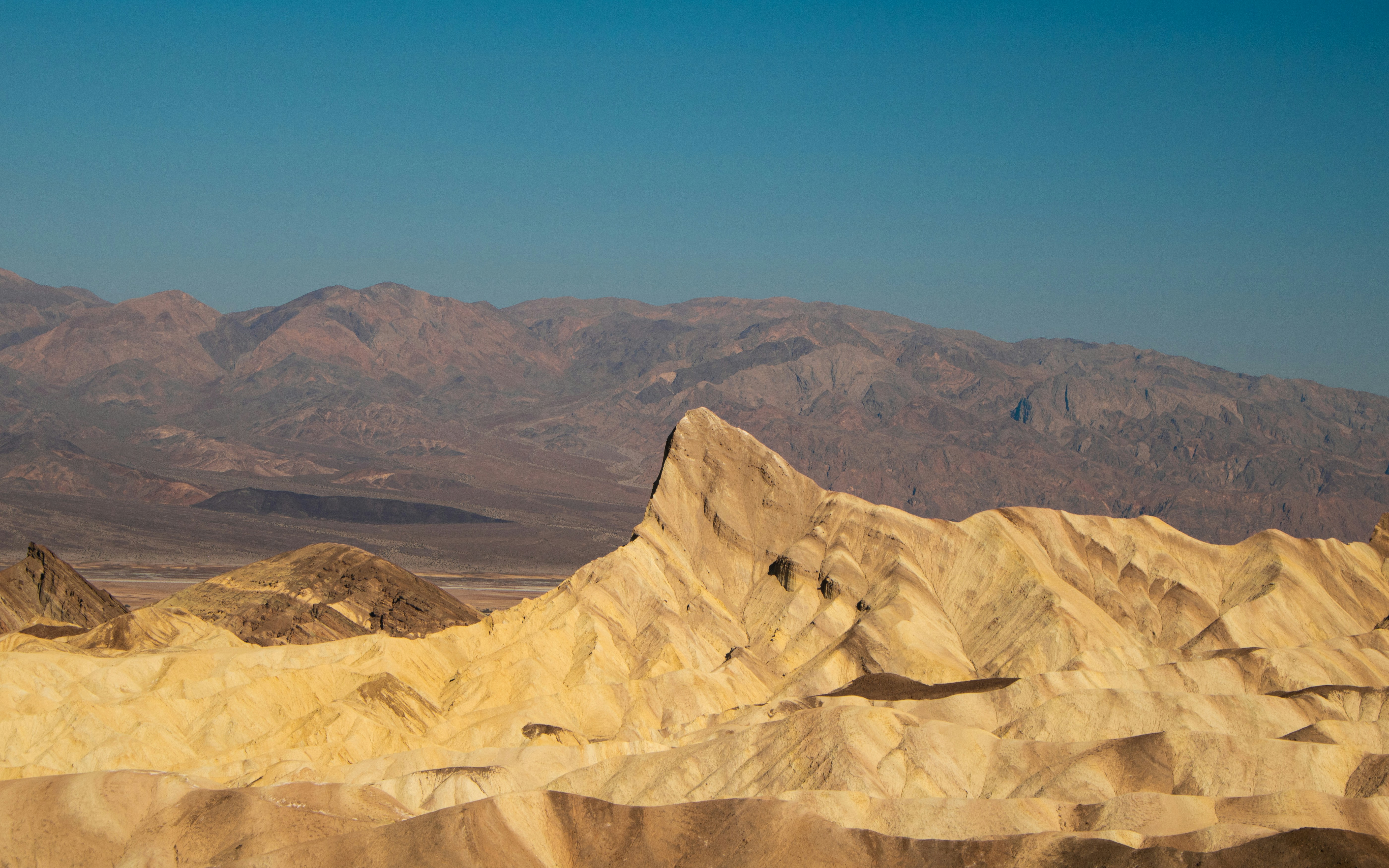 Photo by zoshuacolah