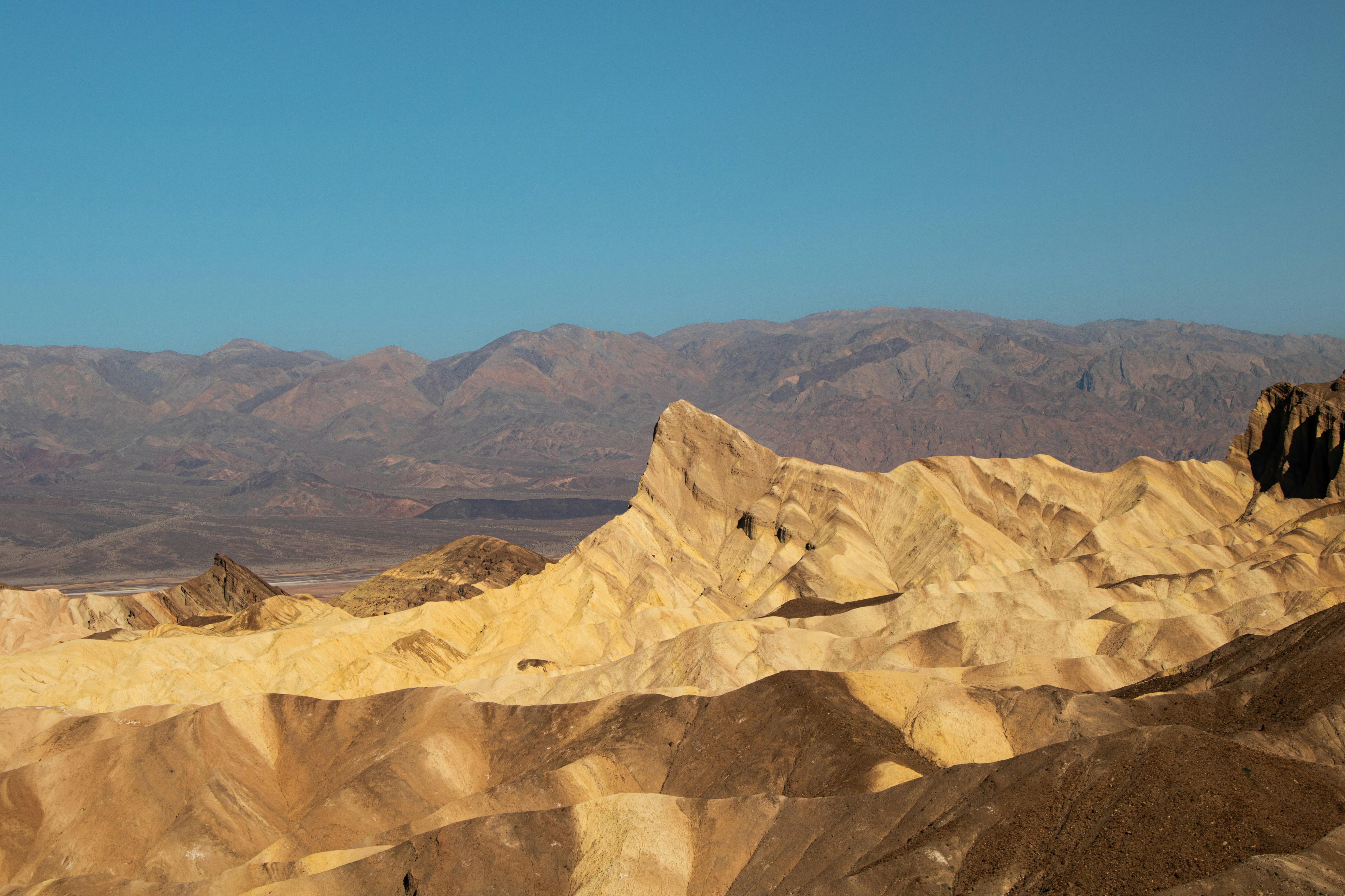 Photo by zoshuacolah