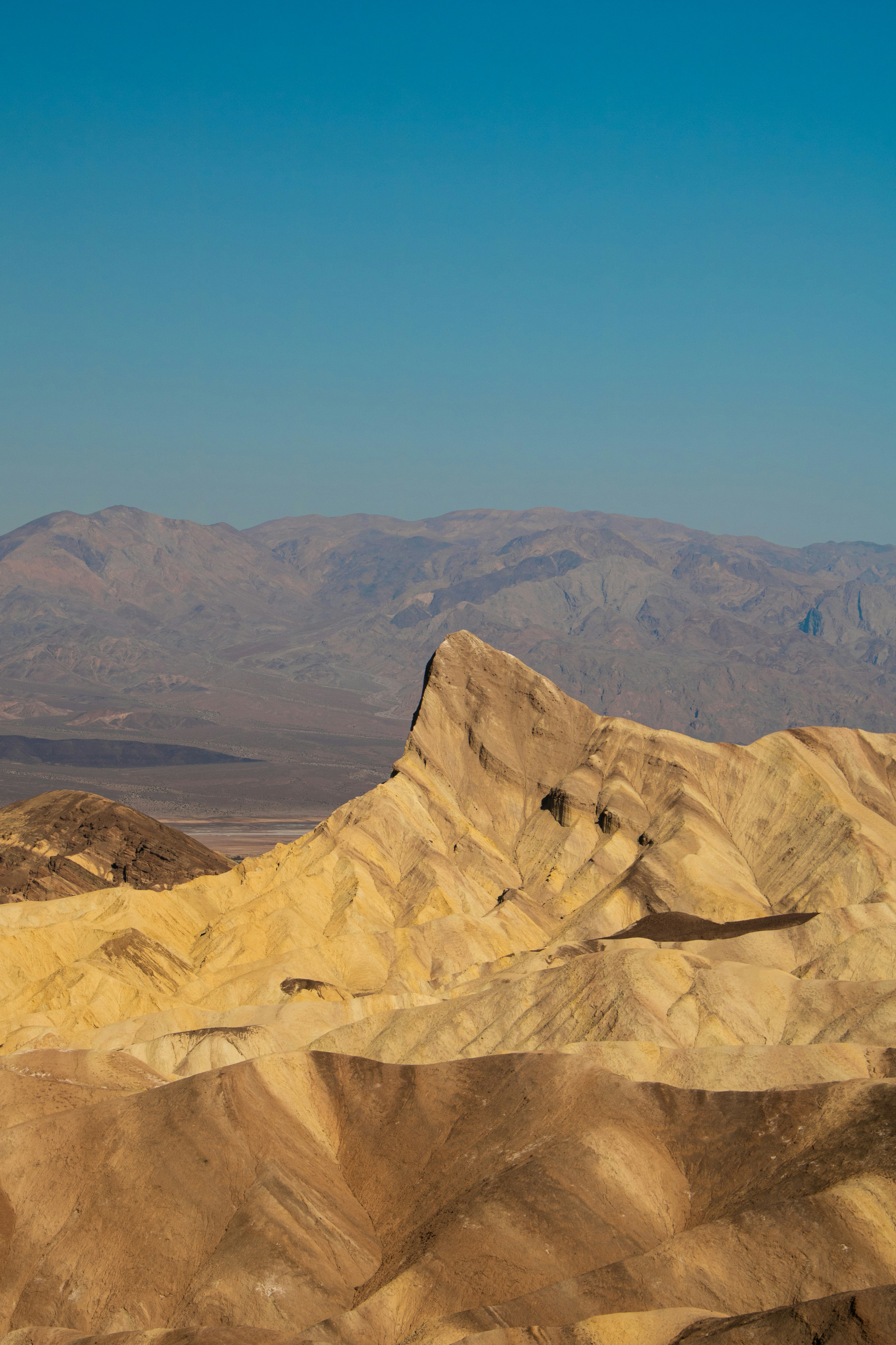 Photo by zoshuacolah