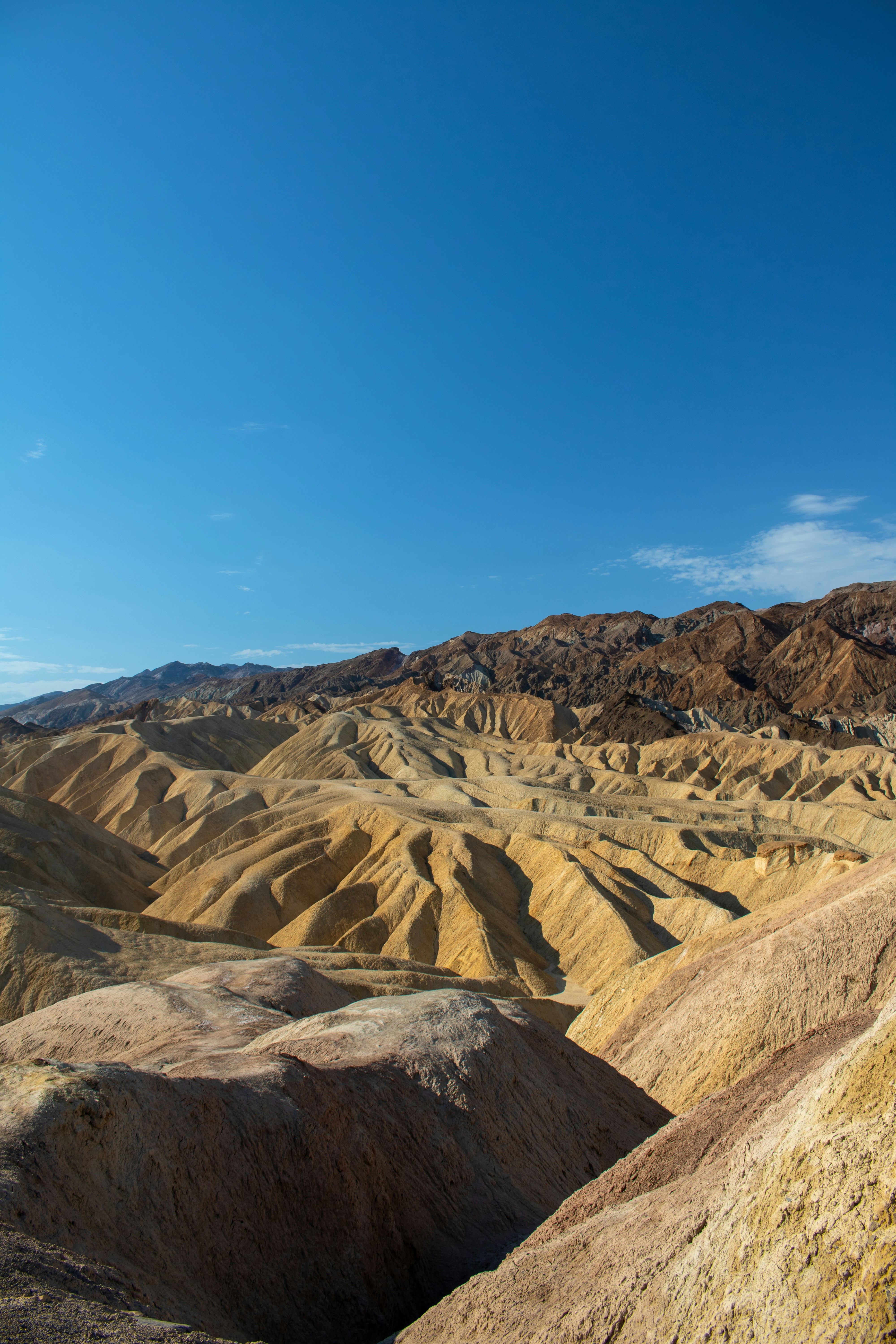 Photo by zoshuacolah