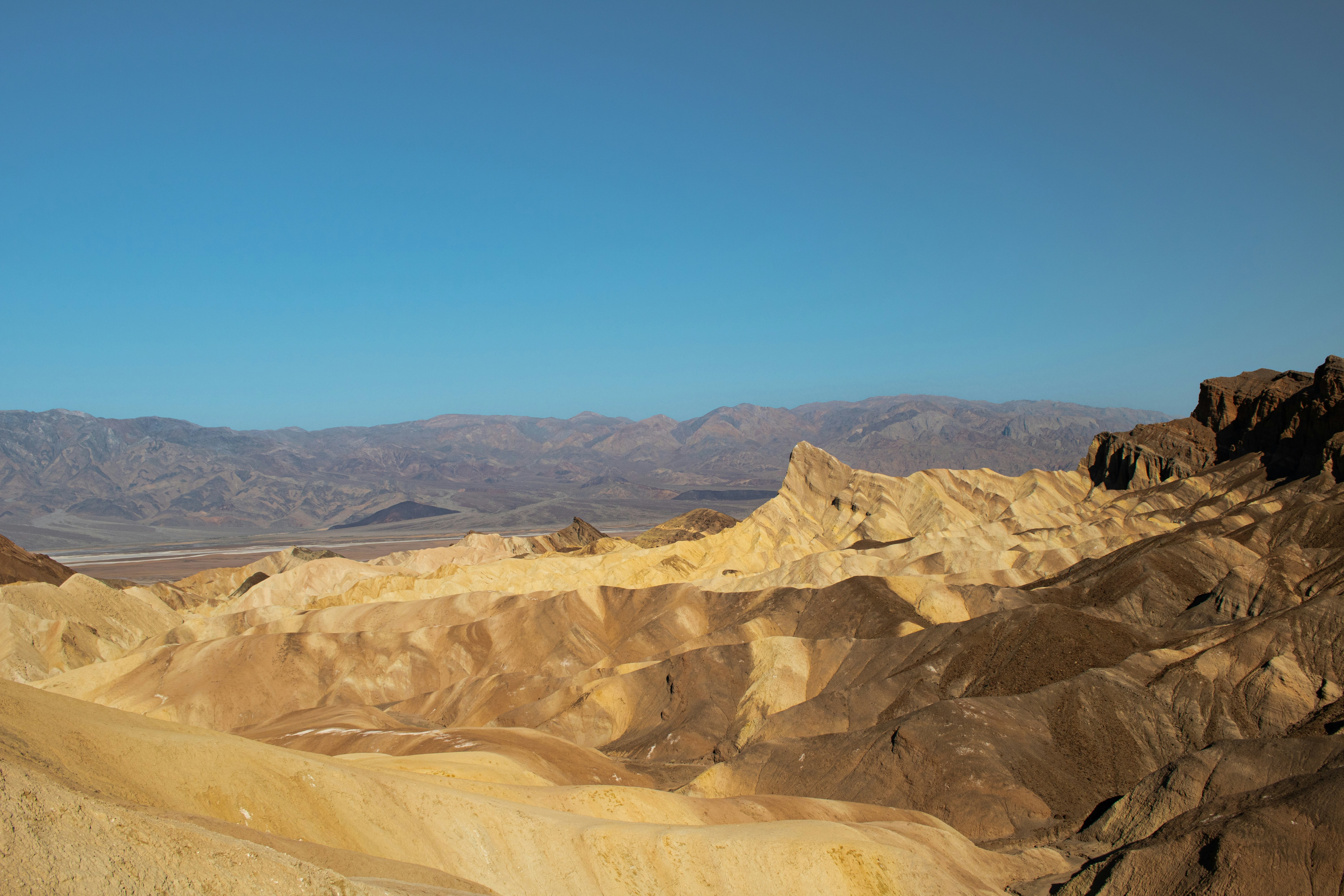 Photo by zoshuacolah