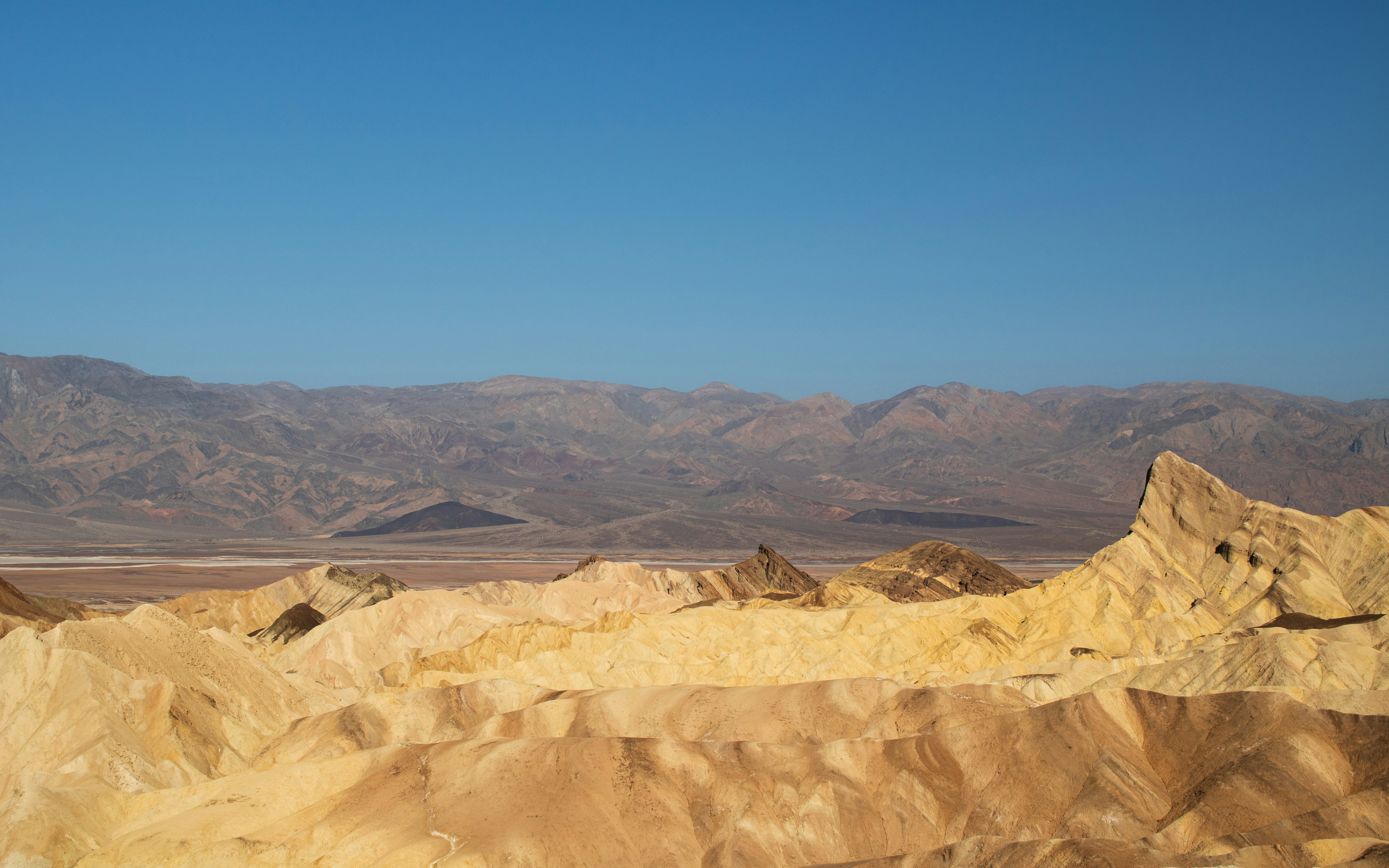 Photo by zoshuacolah