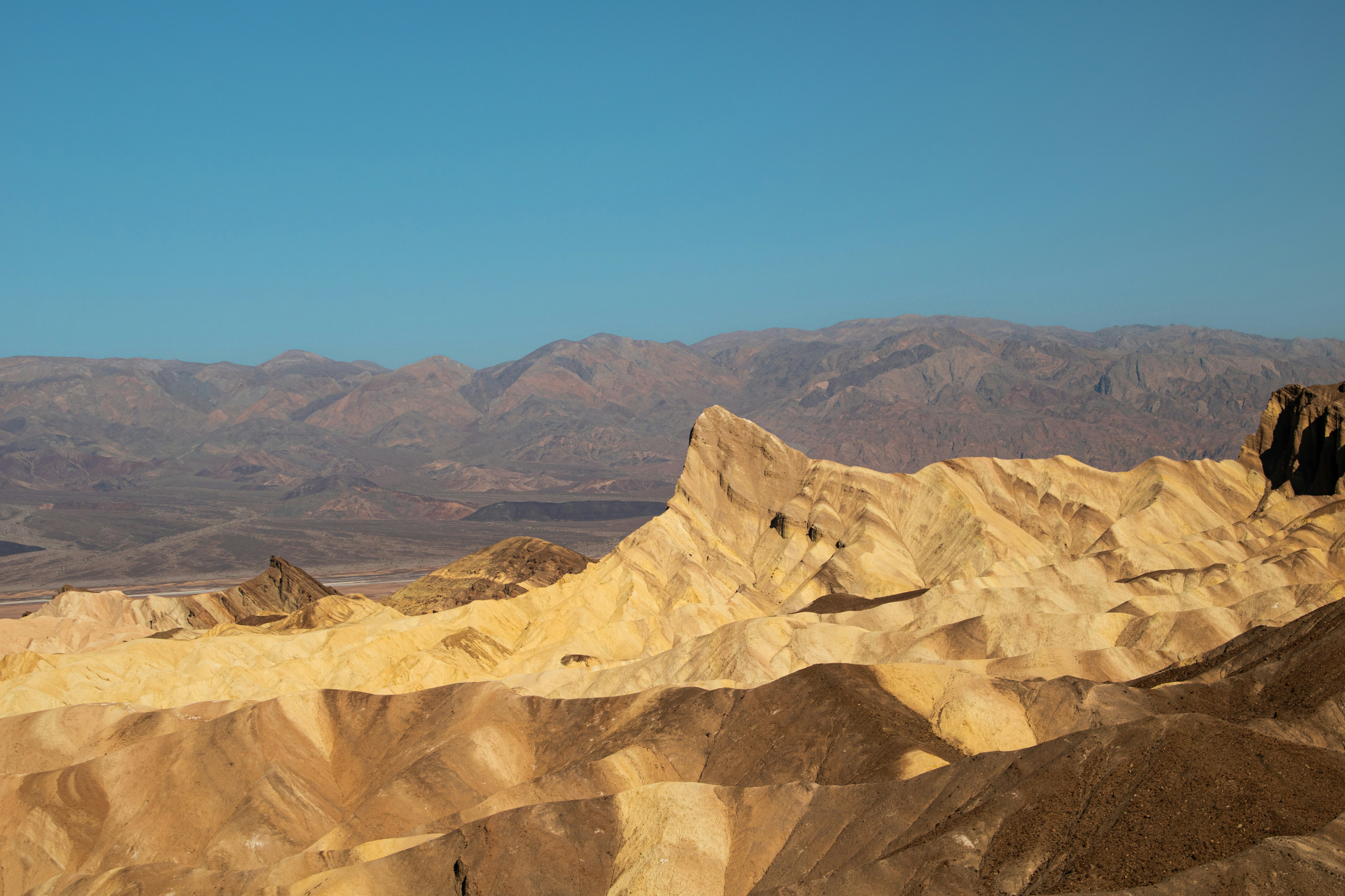 Photo by zoshuacolah