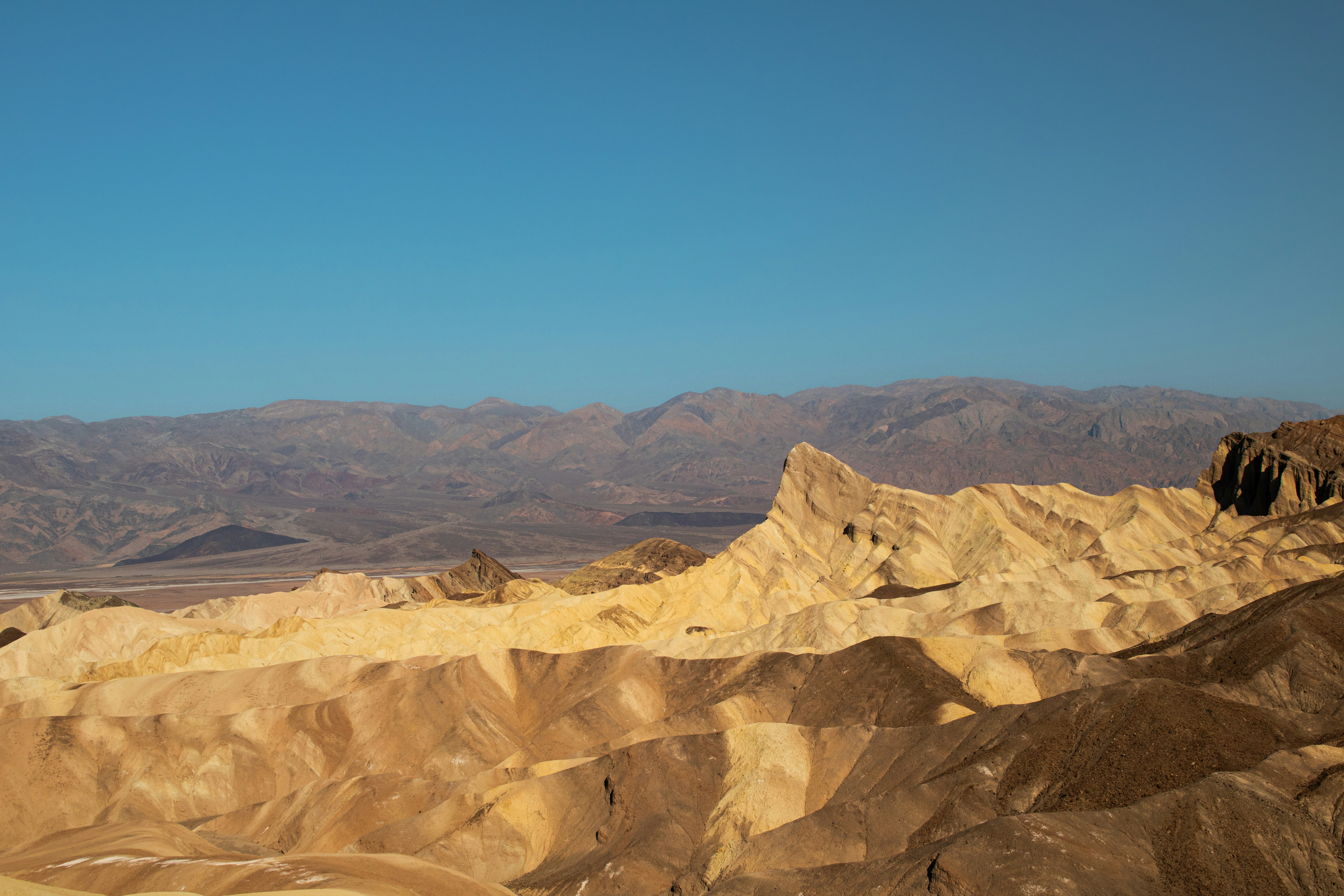 Photo by zoshuacolah