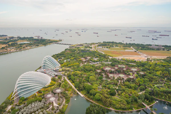 Elevated view over Gardens by the Bay