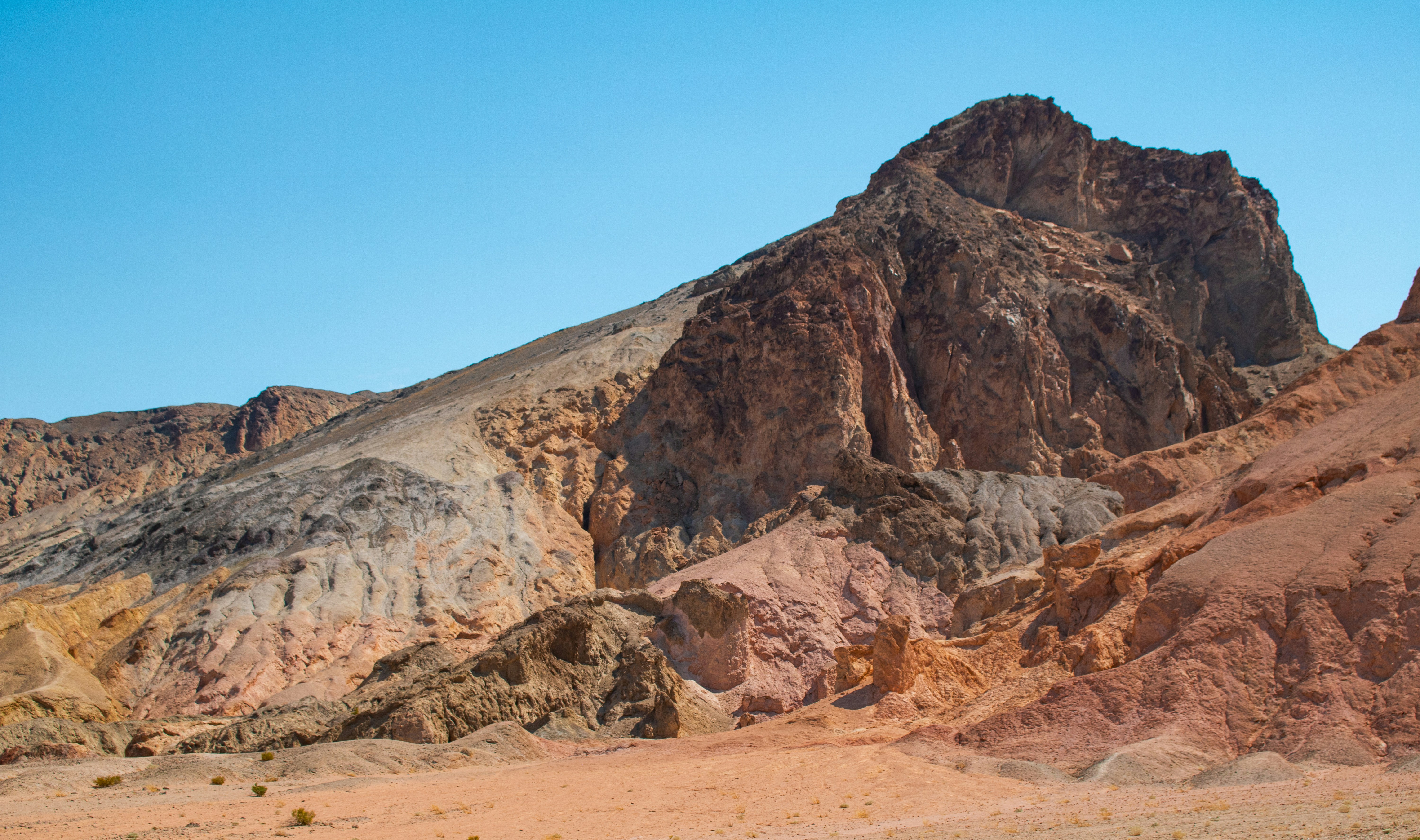 Photo by zoshuacolah