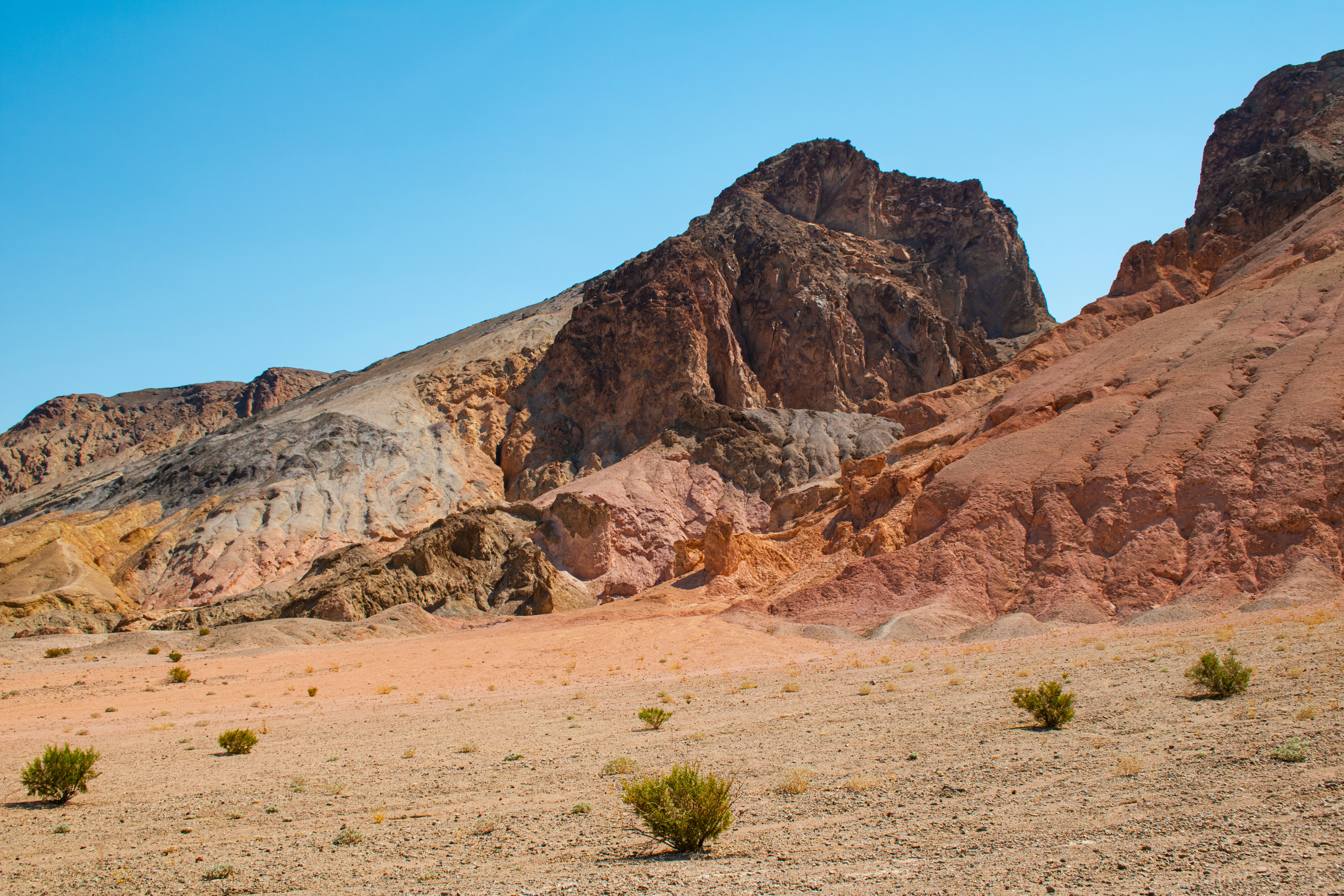 Photo by zoshuacolah