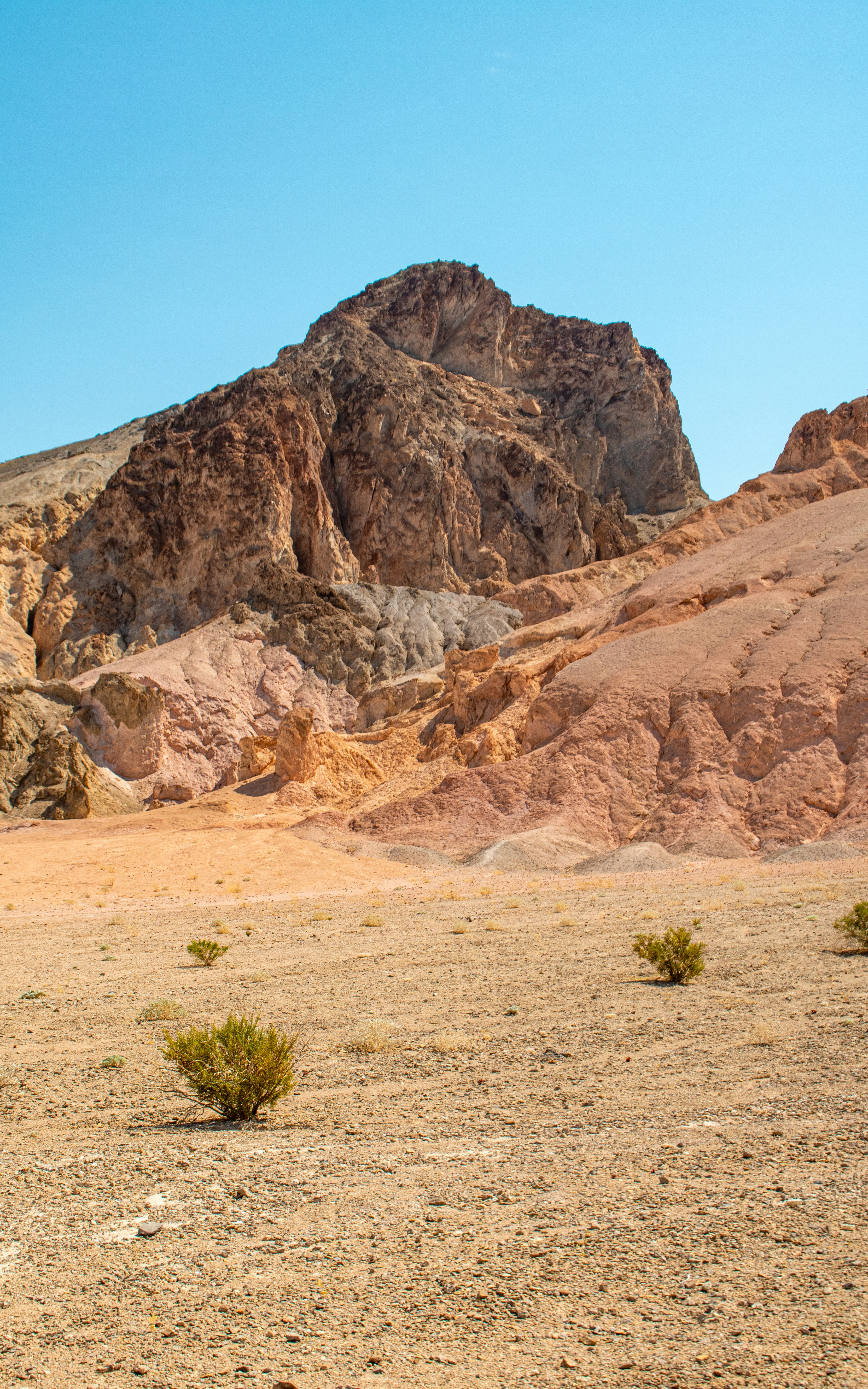 Photo by zoshuacolah