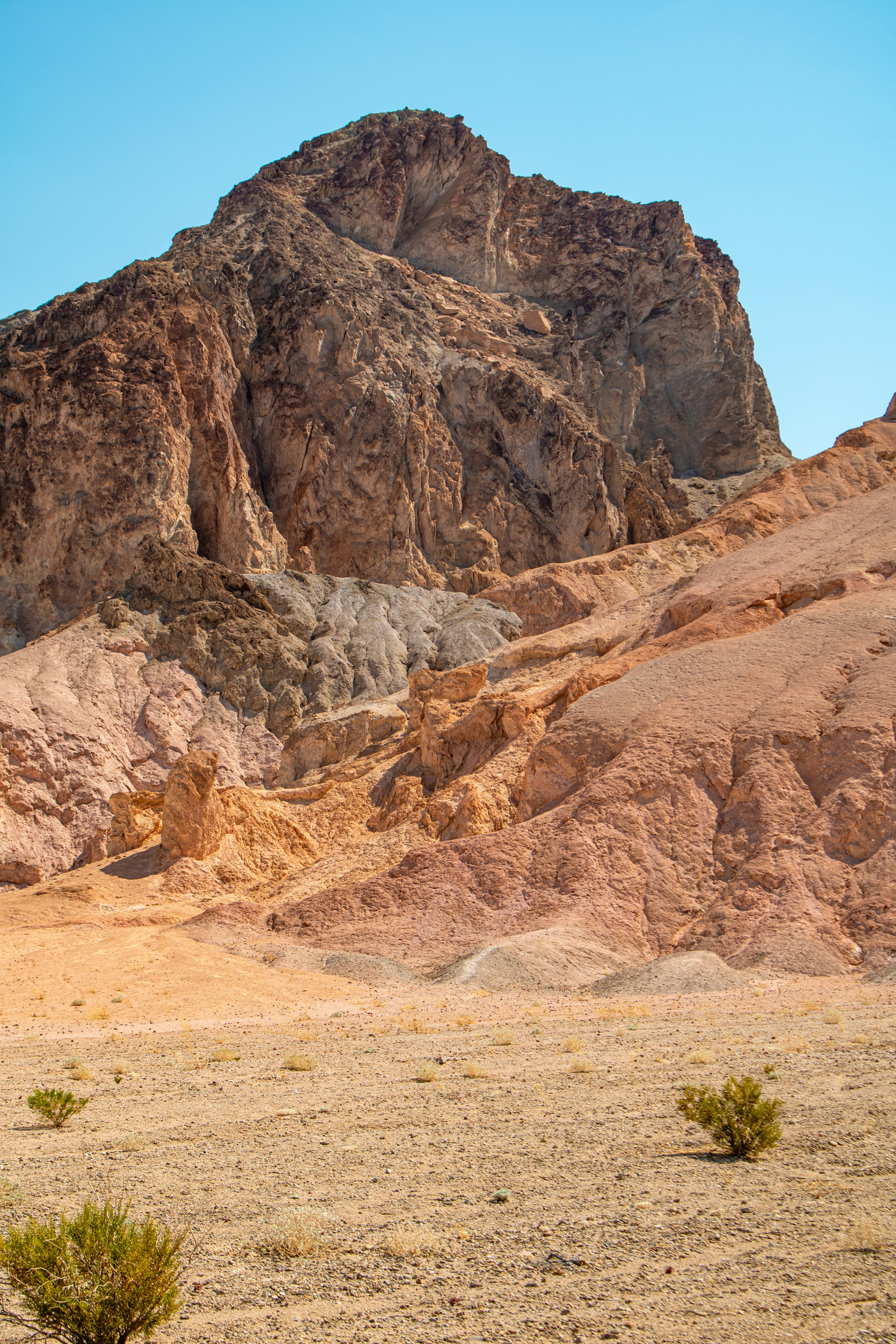 Photo by zoshuacolah