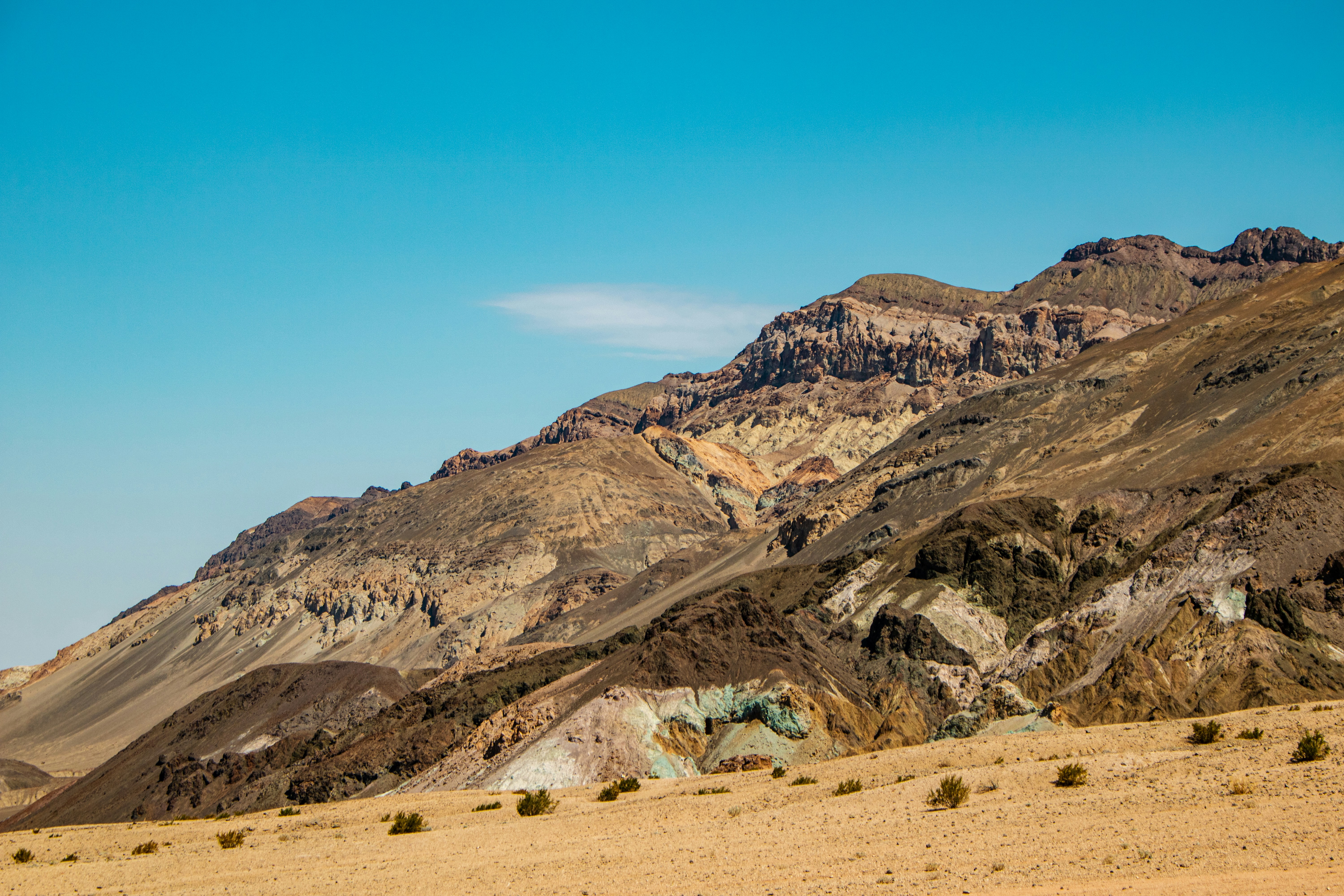 Photo by zoshuacolah