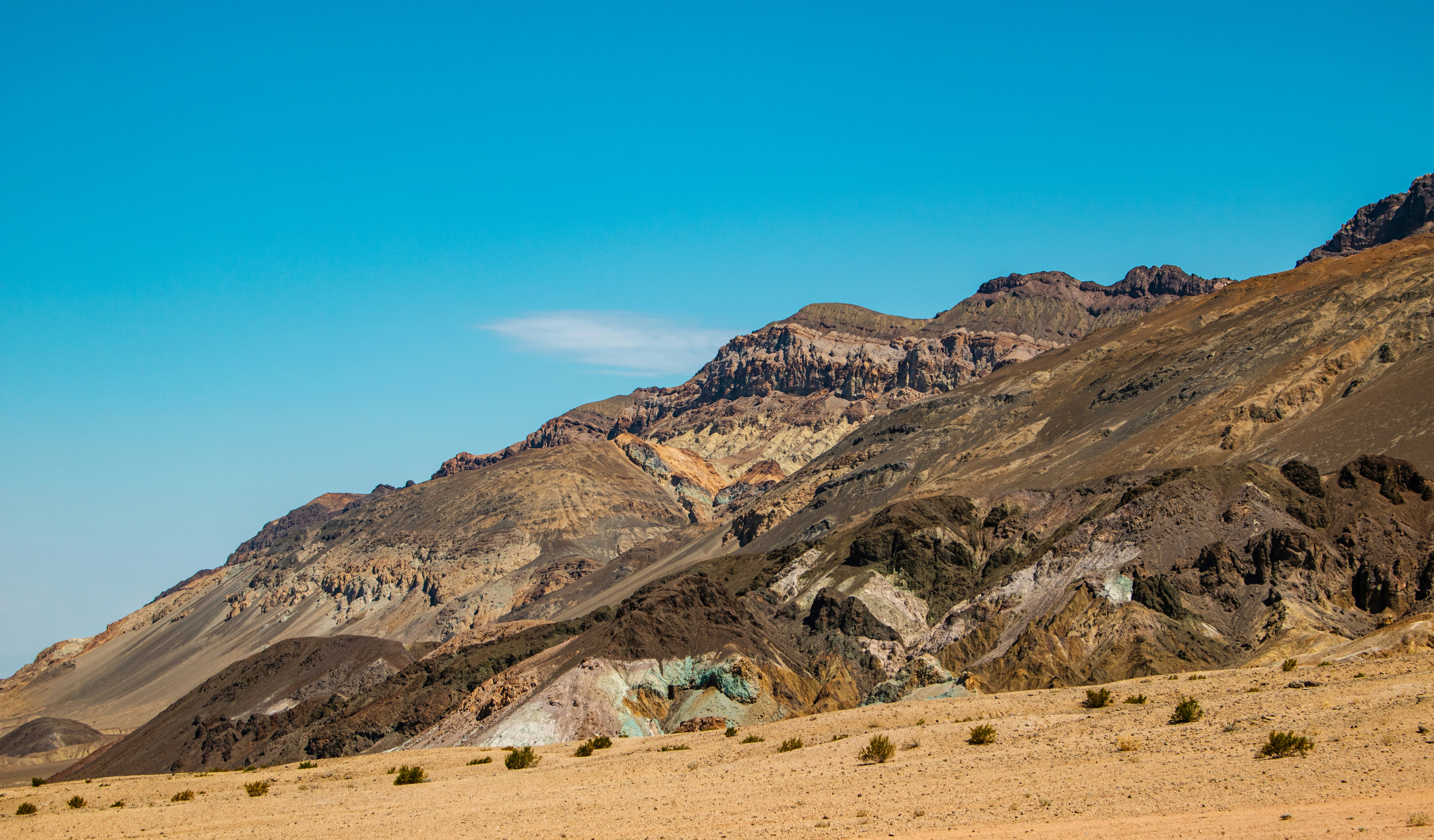 Photo by zoshuacolah