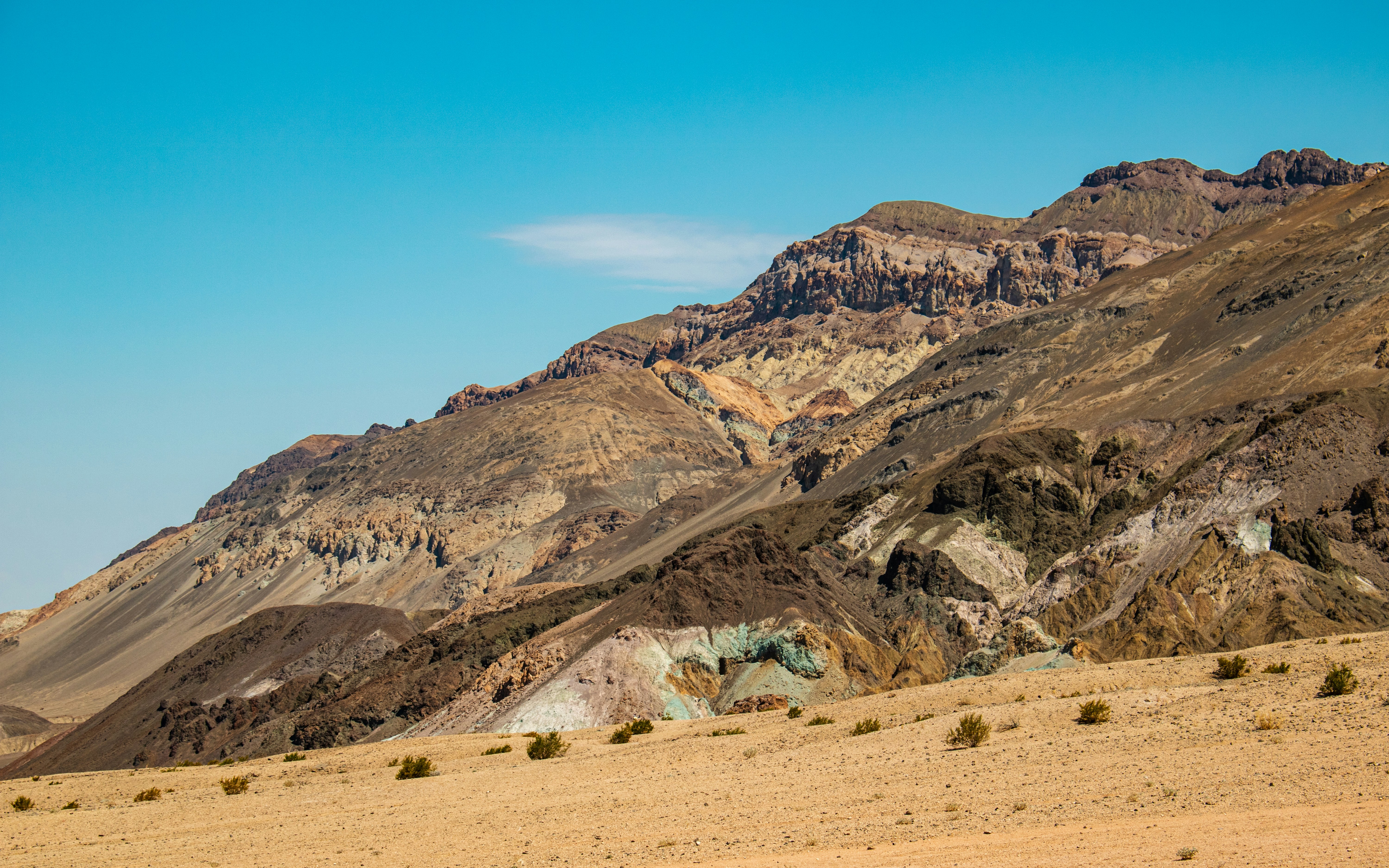 Photo by zoshuacolah