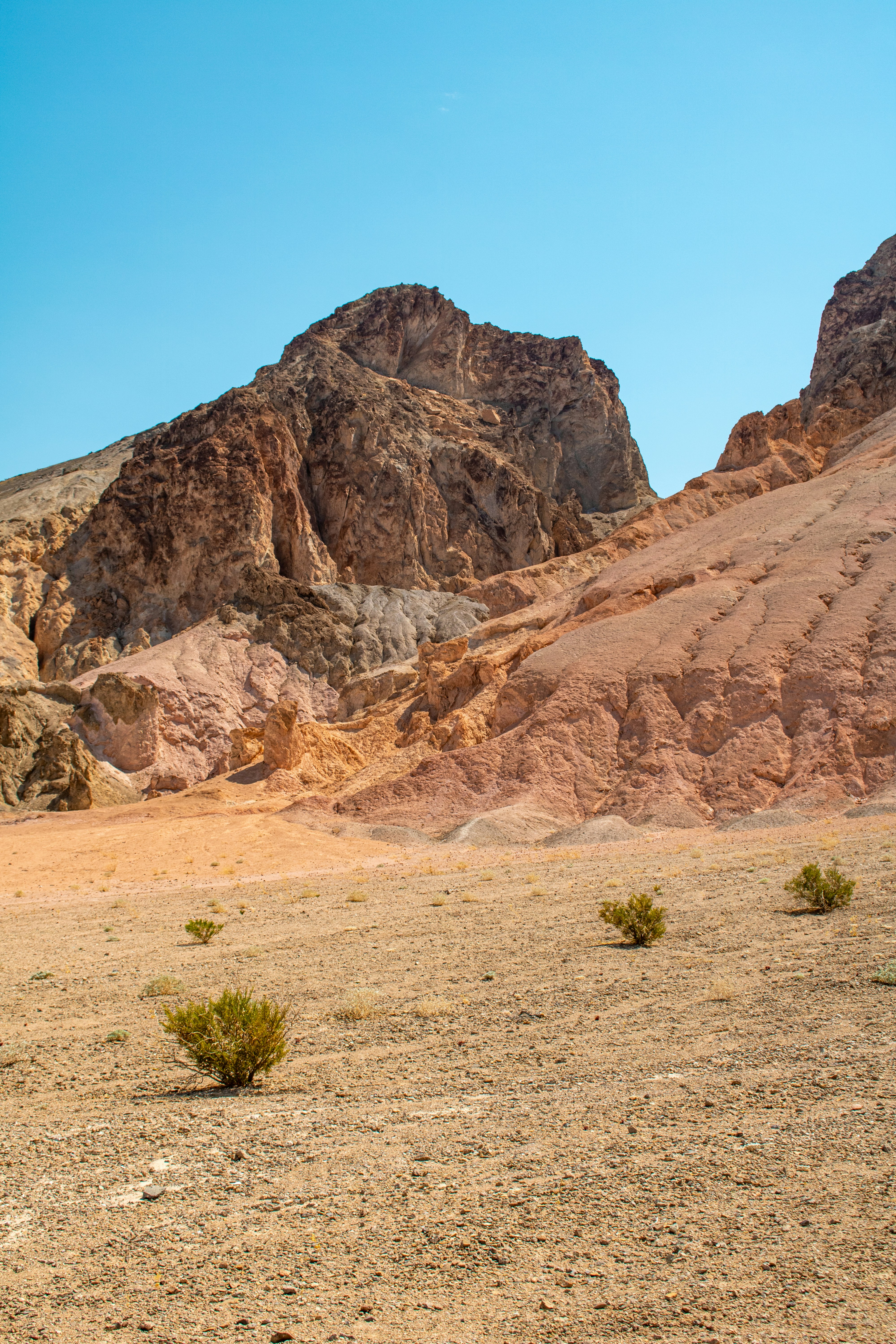 Photo by zoshuacolah